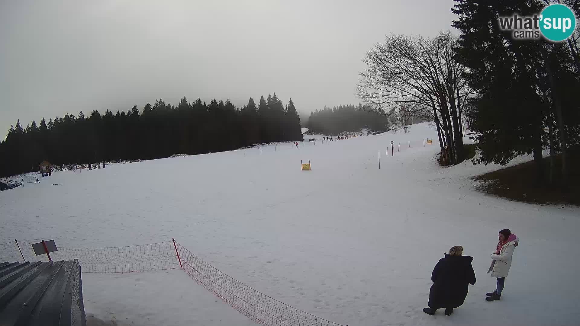 Soriška Planina – Slatnik – Sorica en vivo