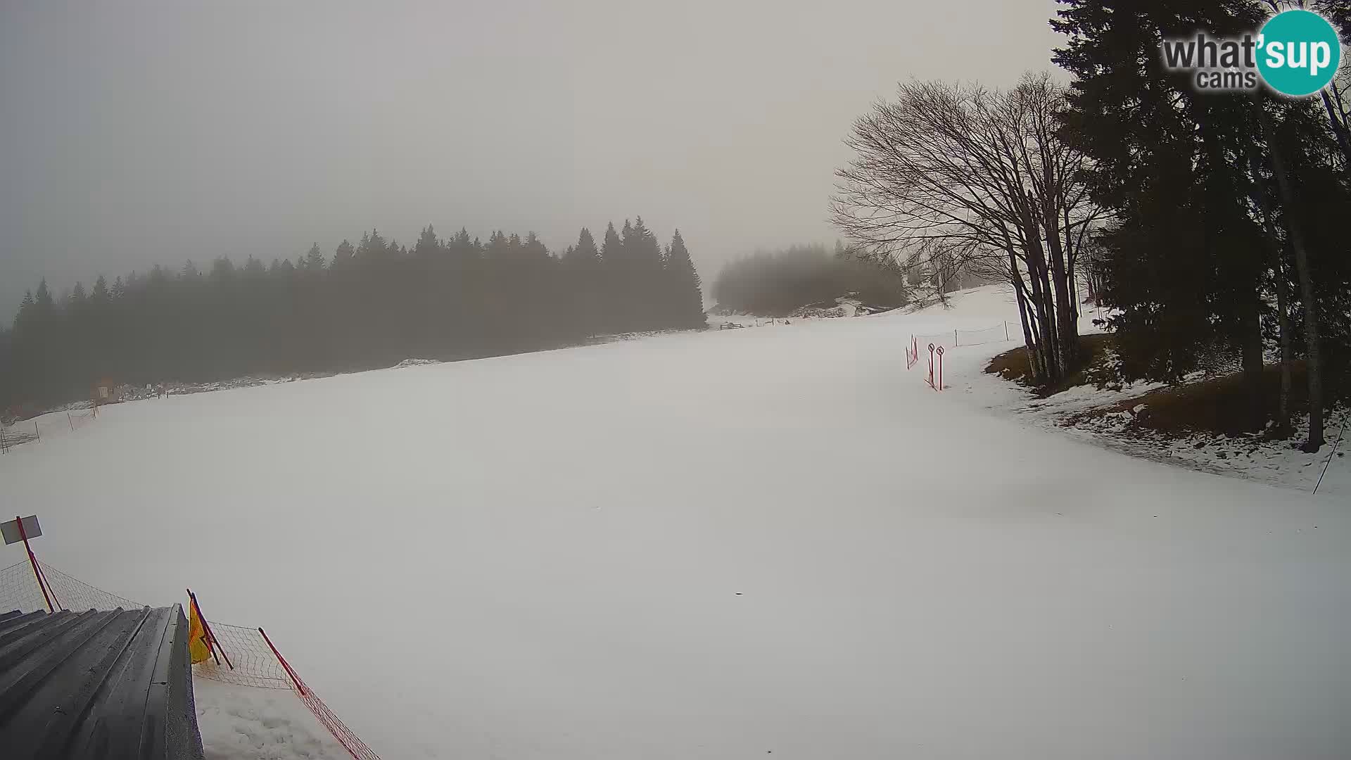 Smučišče Sorica spletna kamera – Sorška planina