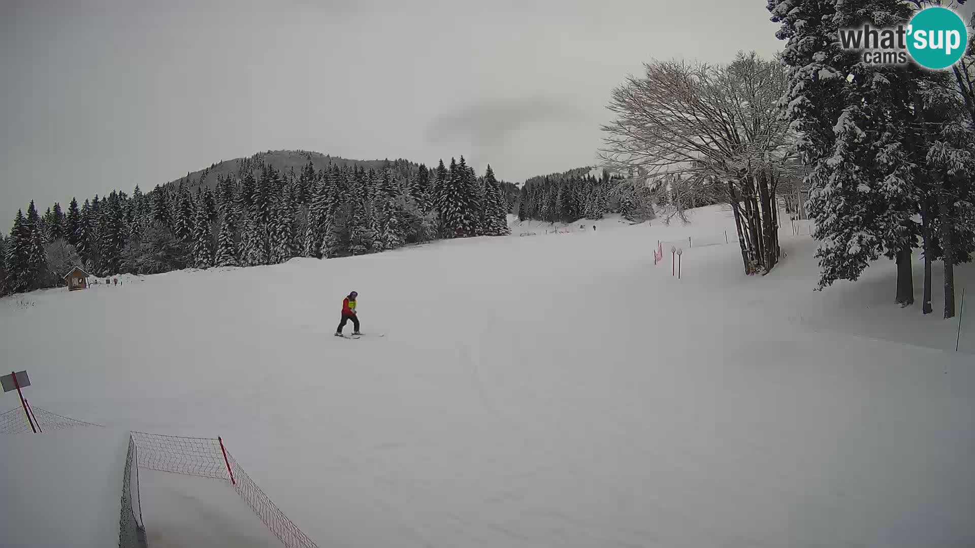 Smučišče Sorica spletna kamera – Sorška planina