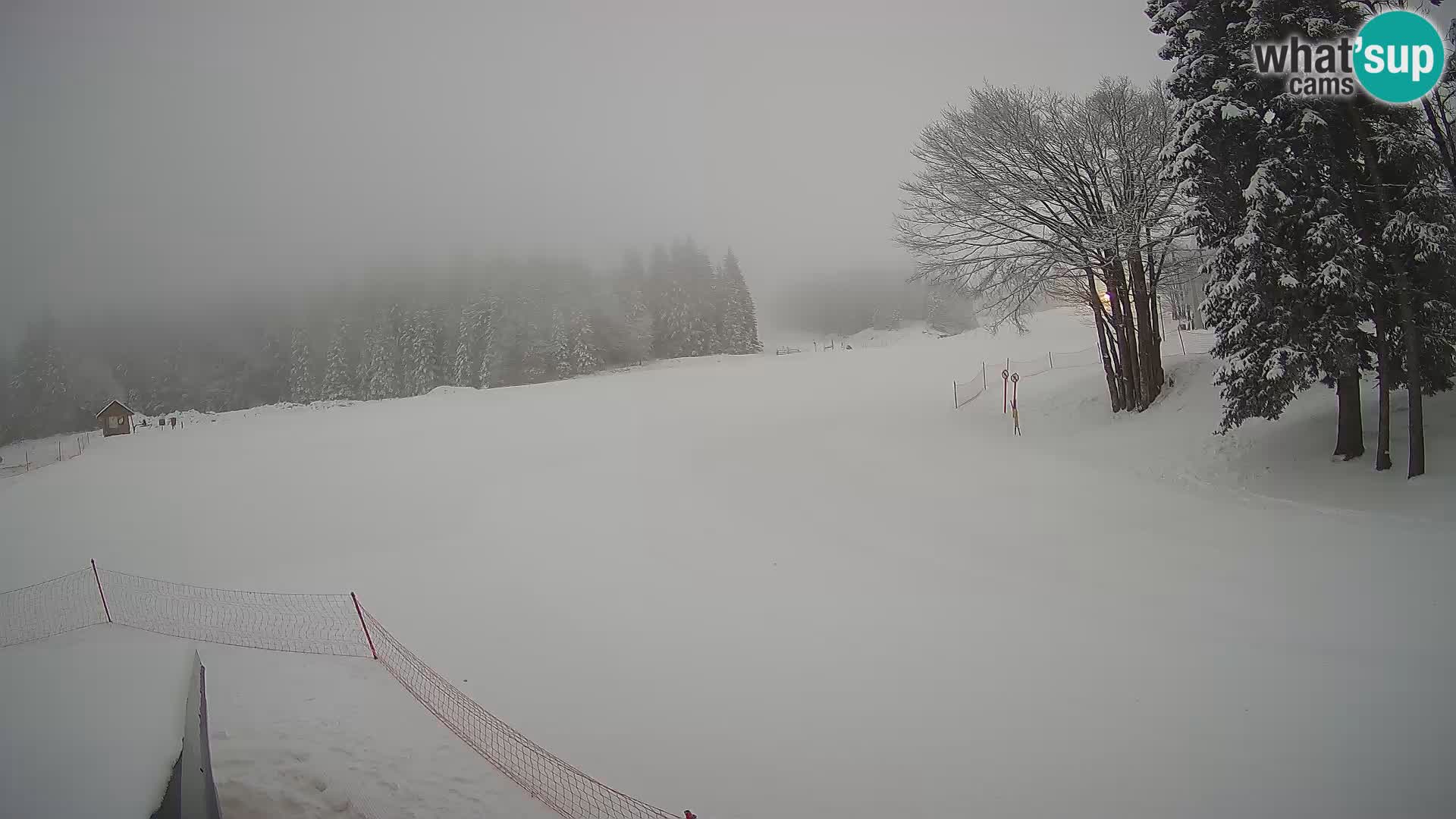 Webcam en vivo Estación de esquí de Sorica – Sorška planina – Eslovenia