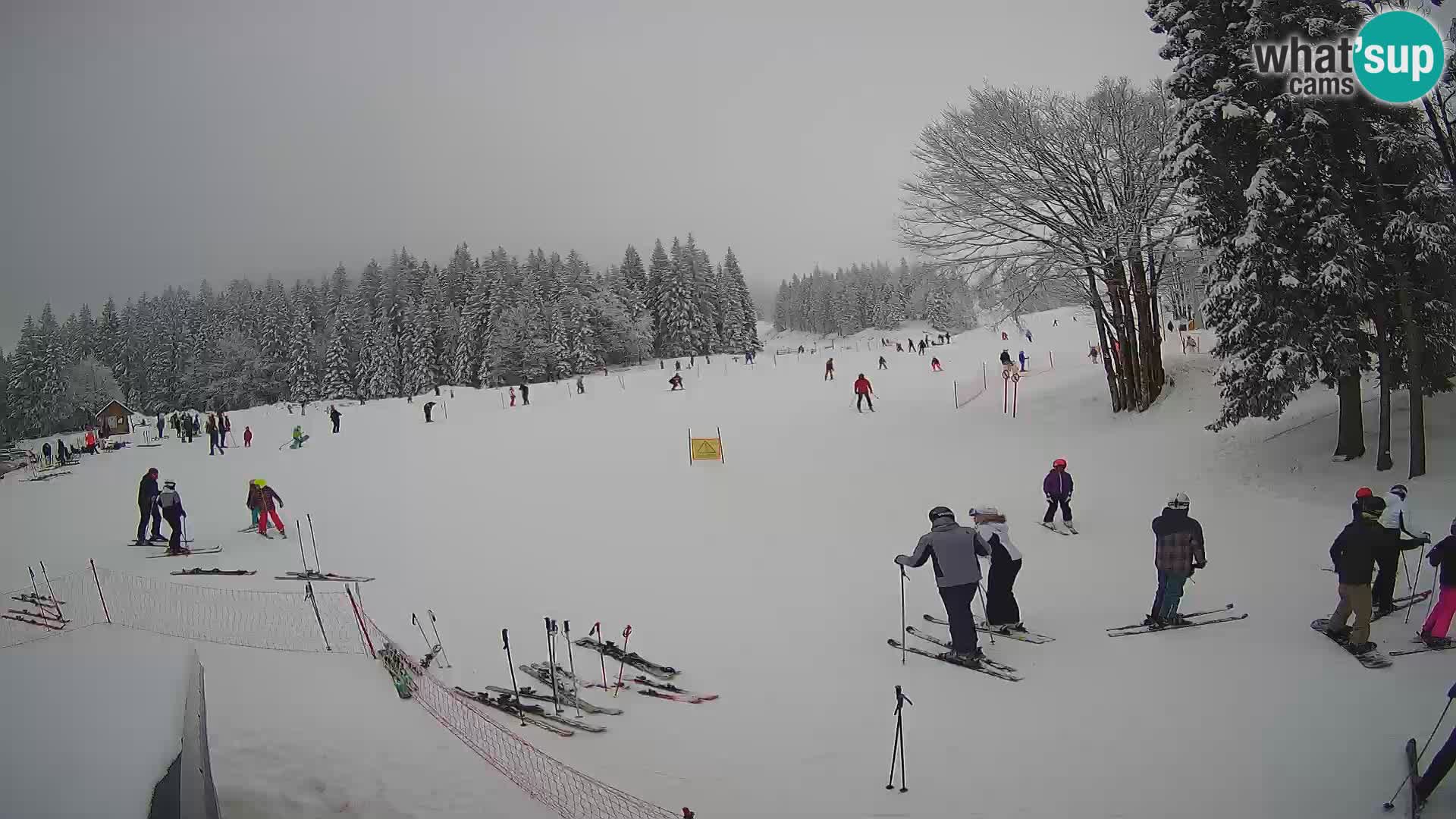 Smučišče Sorica spletna kamera – Sorška planina