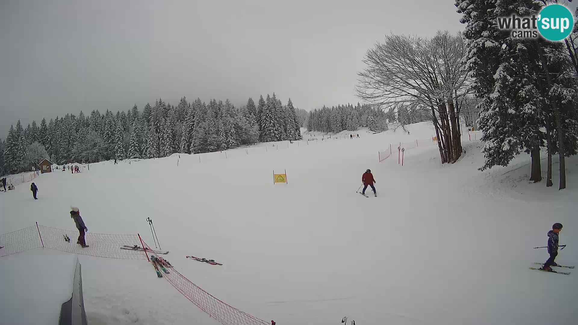 Soriška Planina – Slatnik – Sorica Webcam