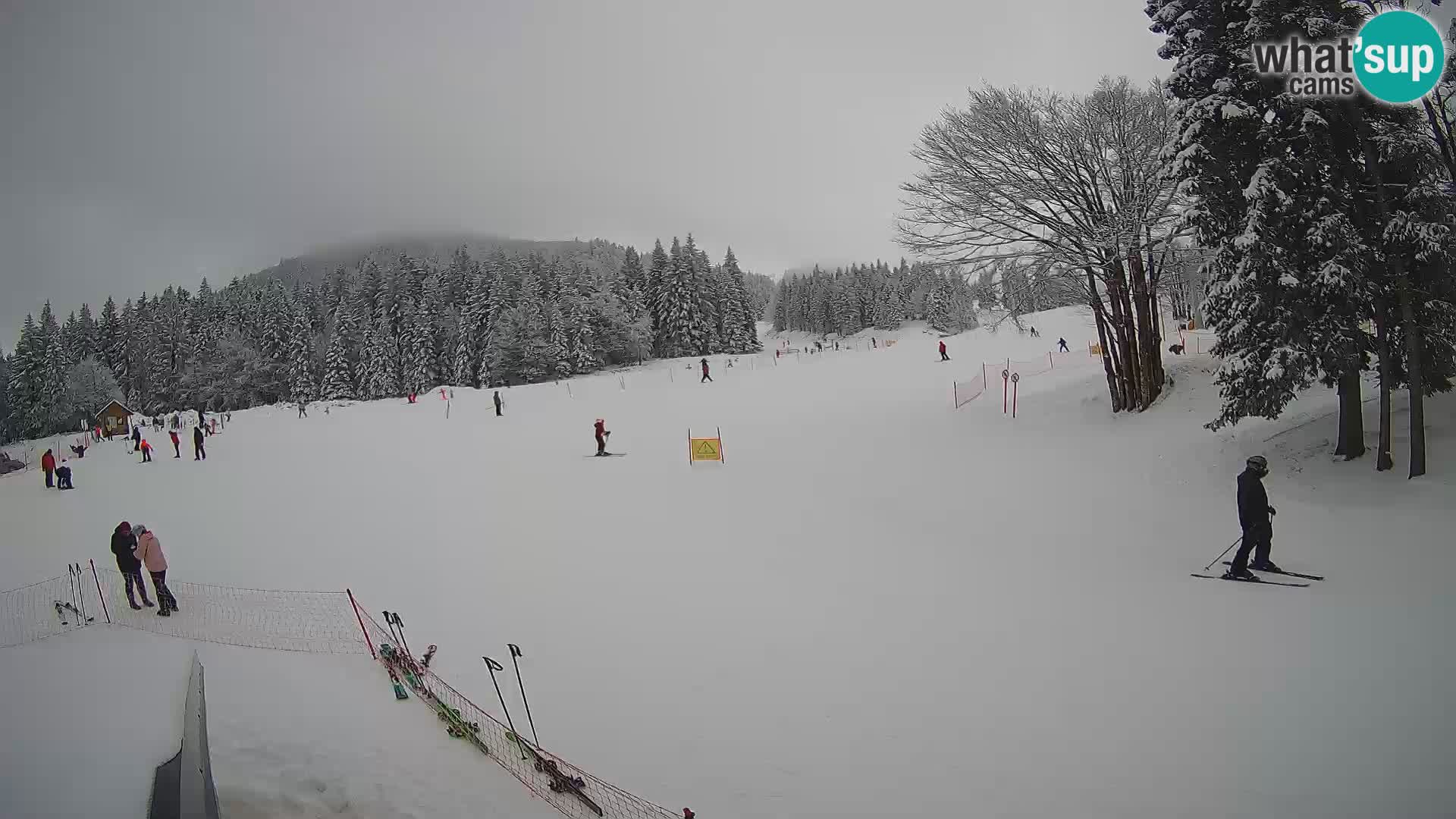 Smučišče Sorica spletna kamera – Sorška planina