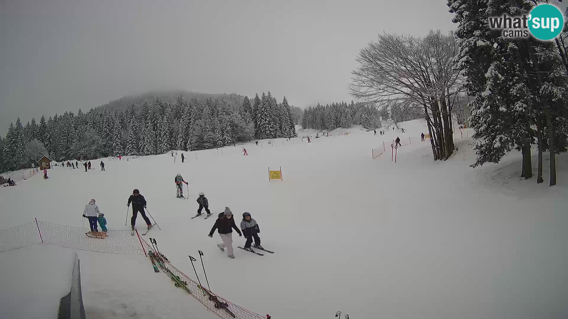 Webcam en vivo Estación de esquí de Sorica – Sorška planina – Eslovenia