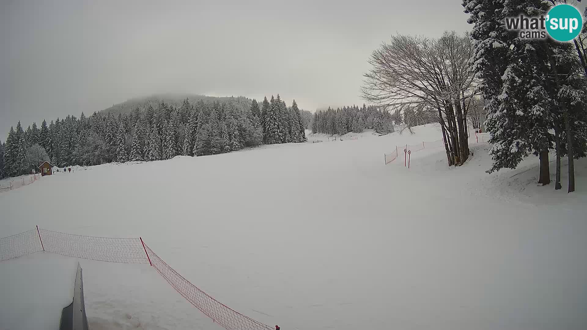 Smučišče Sorica spletna kamera – Sorška planina