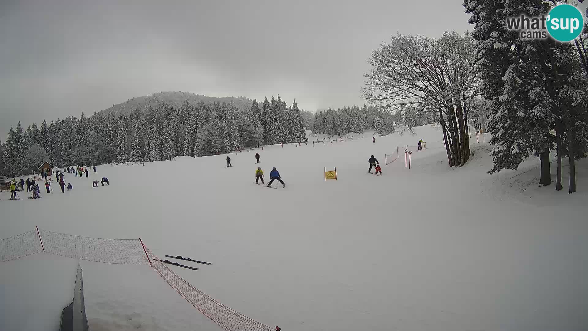 Soriška Planina – Slatnik – Sorica Webcam