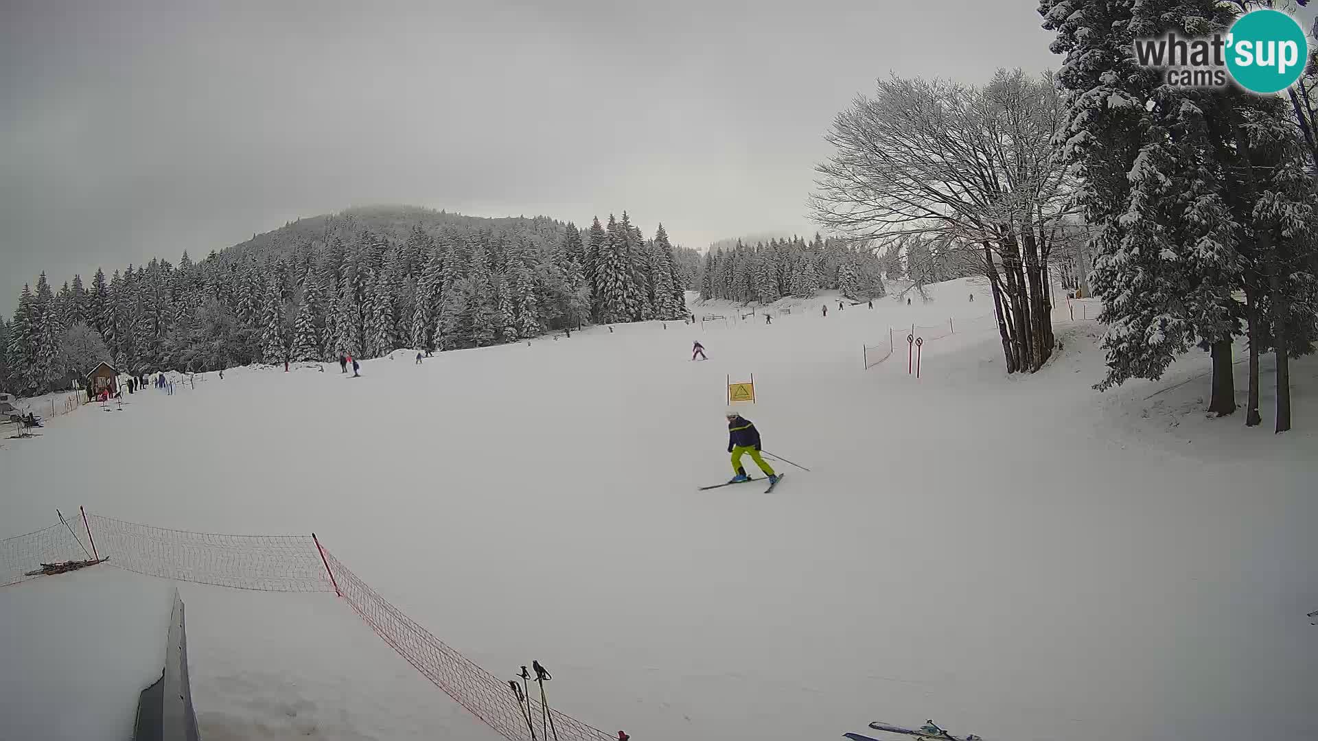 Soriška Planina – Slatnik – Sorica en vivo