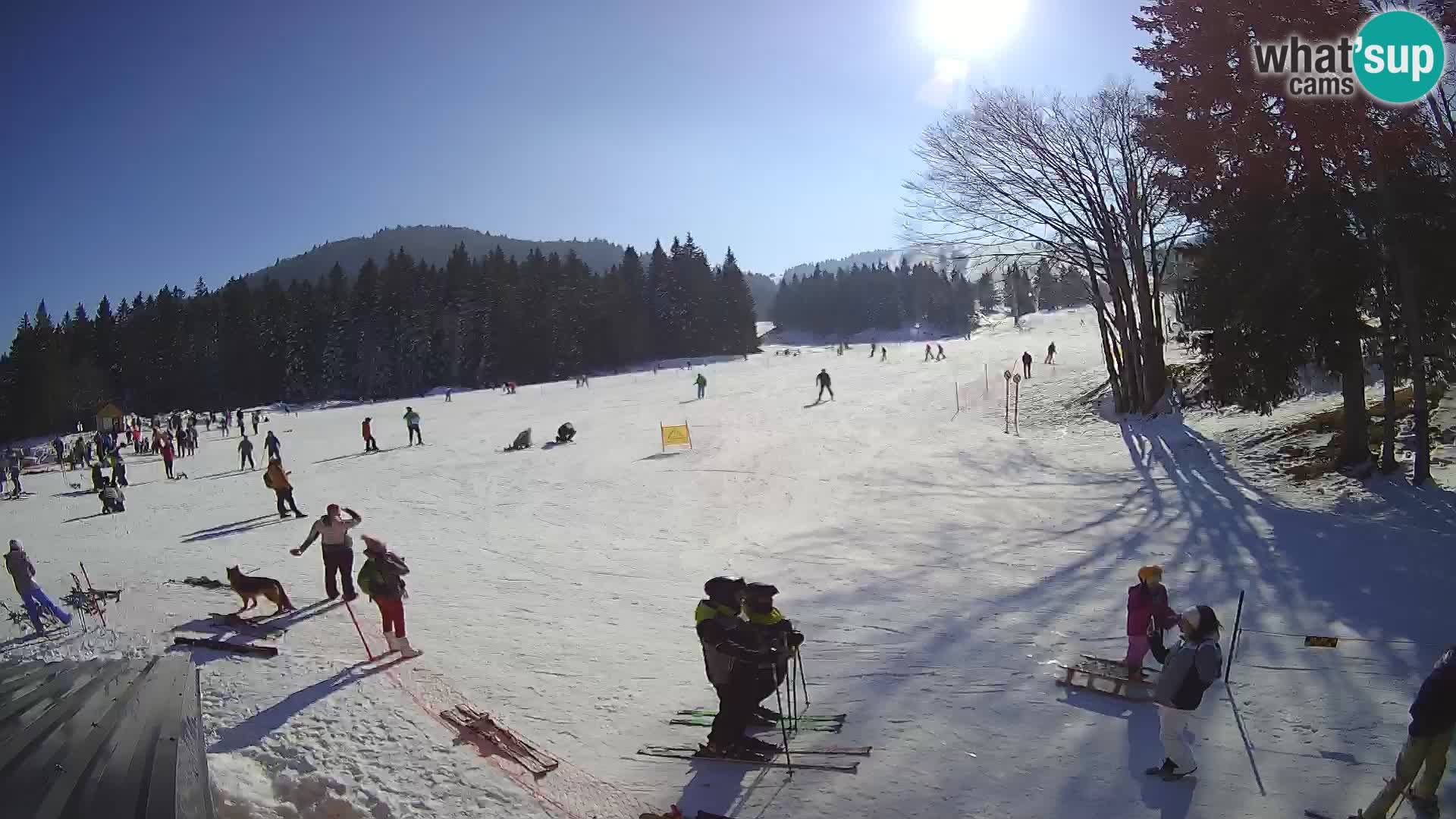 Webcam en direct station de ski de Sorica – Sorška planina – Slovénie