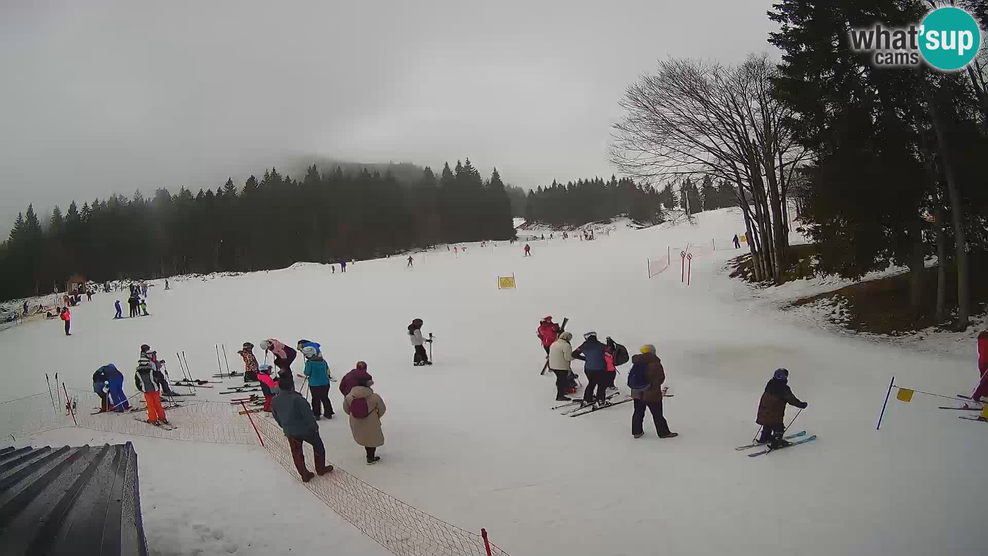 Smučišče Sorica spletna kamera – Sorška planina