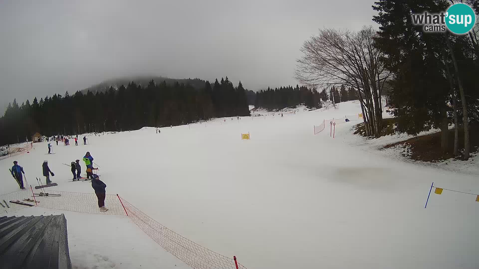 Smučišče Sorica spletna kamera – Sorška planina