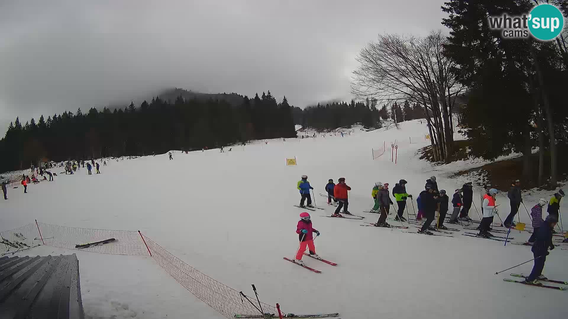 Smučišče Sorica spletna kamera – Sorška planina