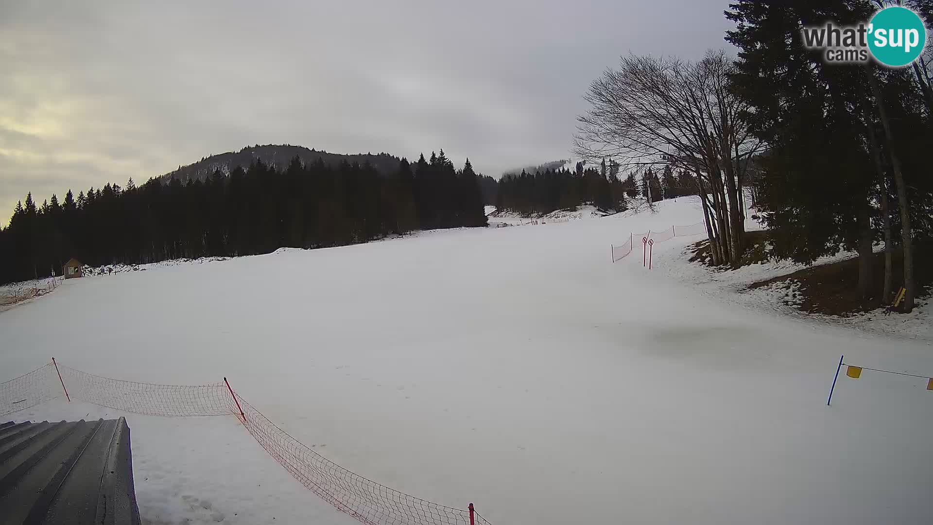 Smučišče Sorica spletna kamera – Sorška planina