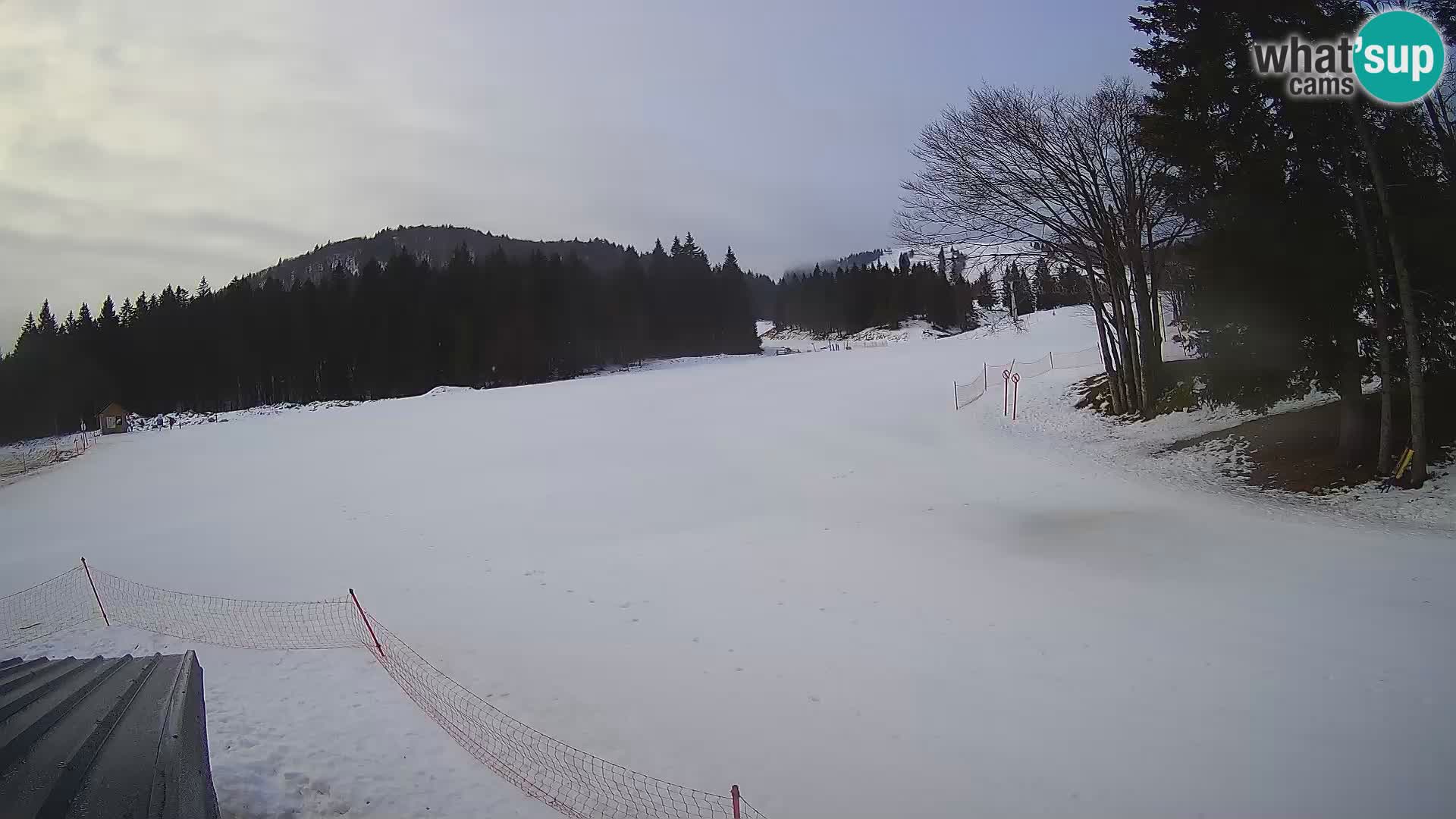 Webcam en vivo Estación de esquí de Sorica – Sorška planina – Eslovenia