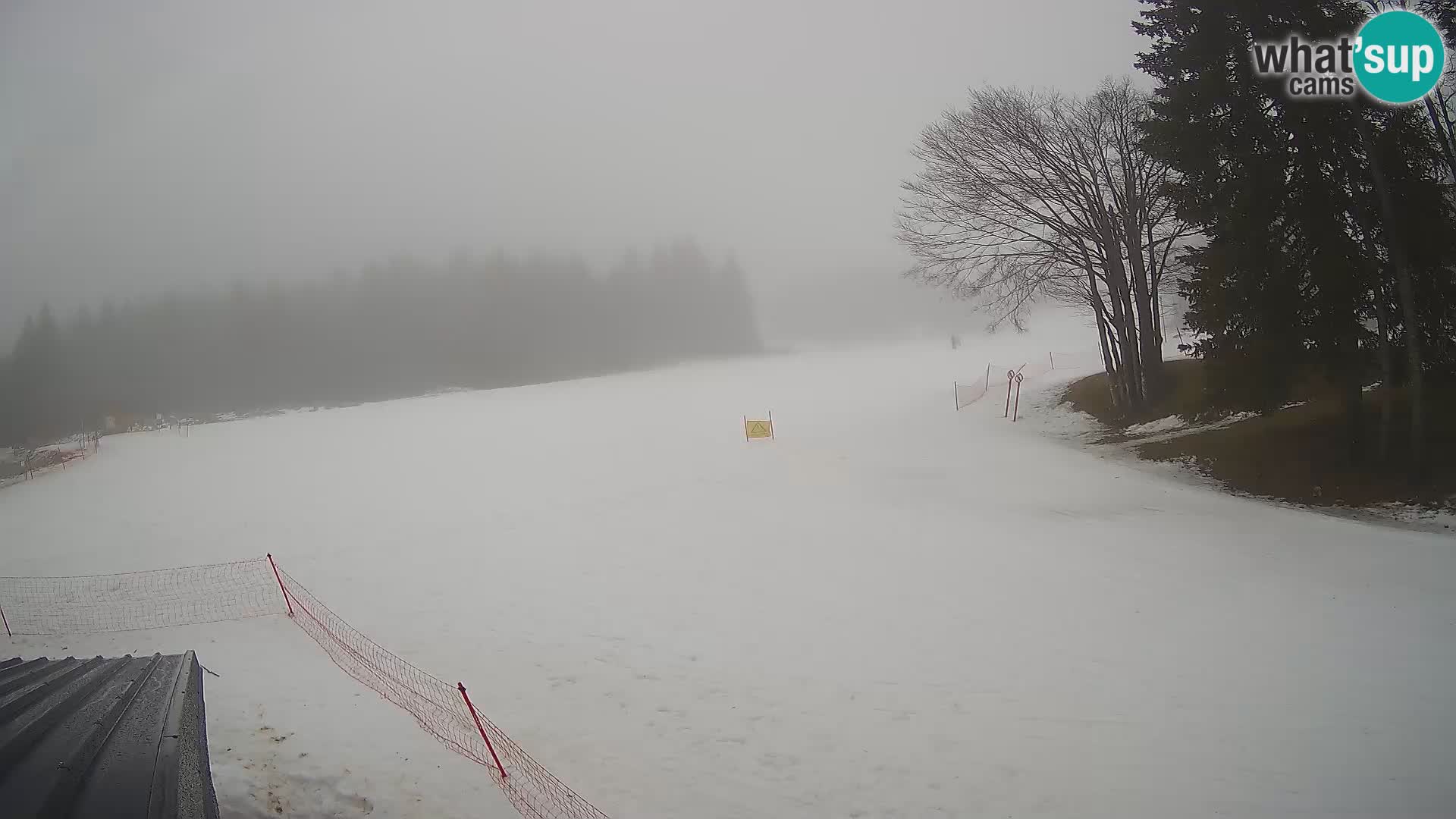 Soriška Planina – Slatnik – Sorica en vivo