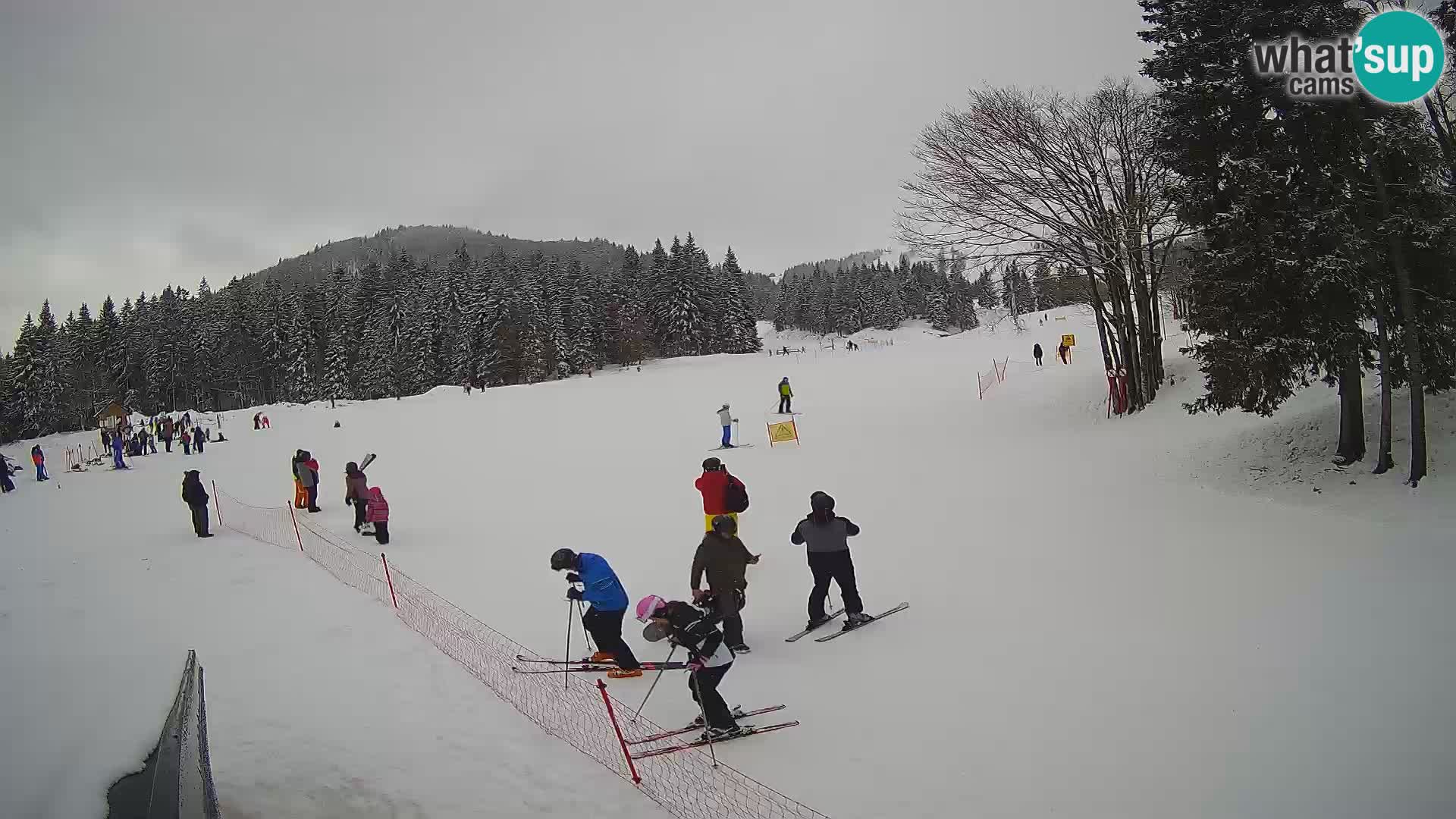 Live Webcam Sorica ski resort – Sorška planina – Slovenia