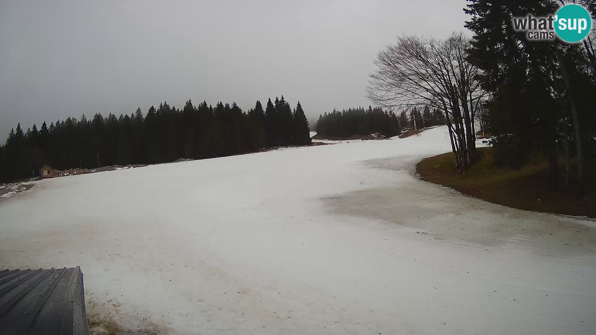 Soriška Planina – Slatnik – Sorica Webcam