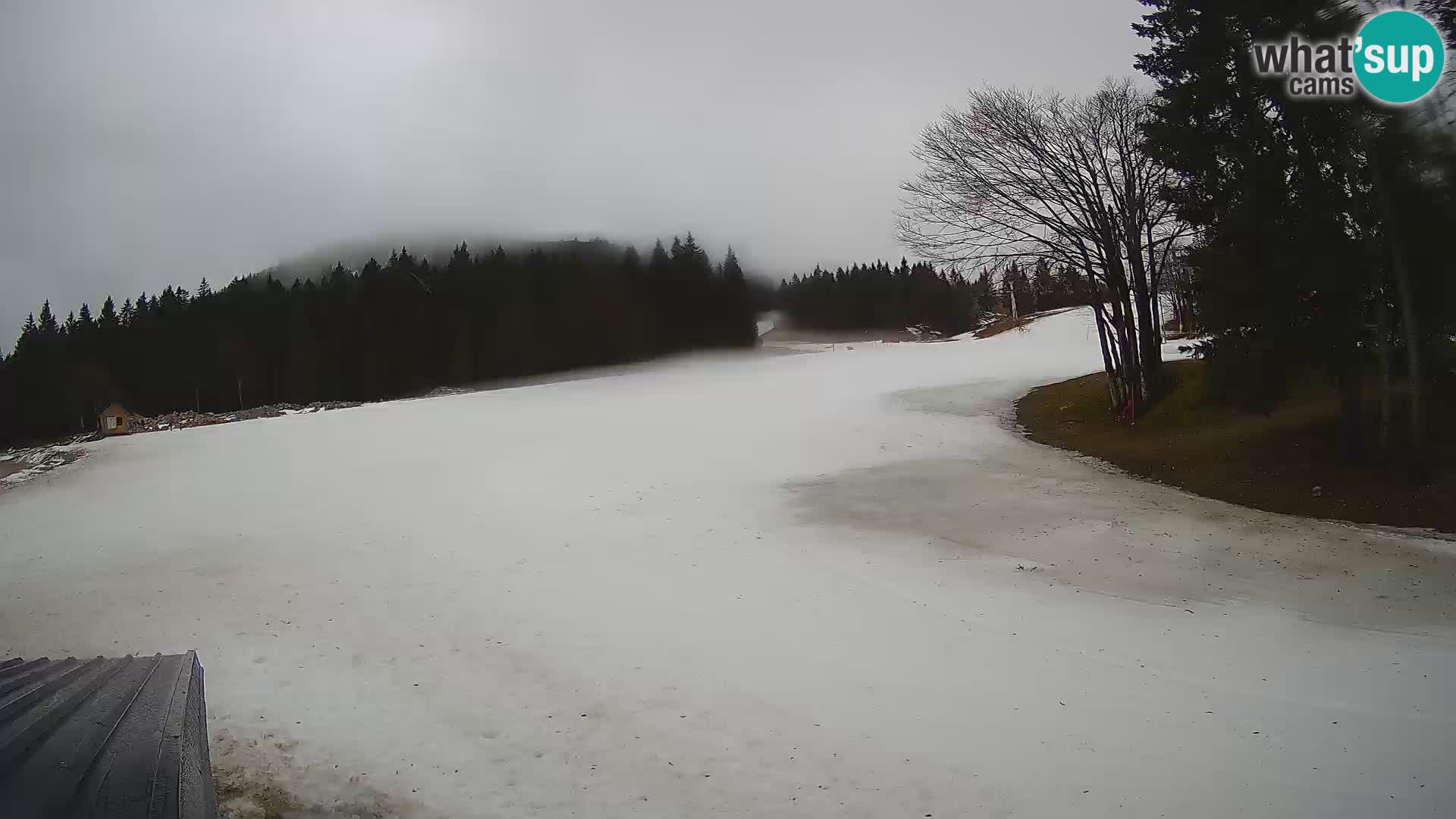 Webcam en vivo Estación de esquí de Sorica – Sorška planina – Eslovenia