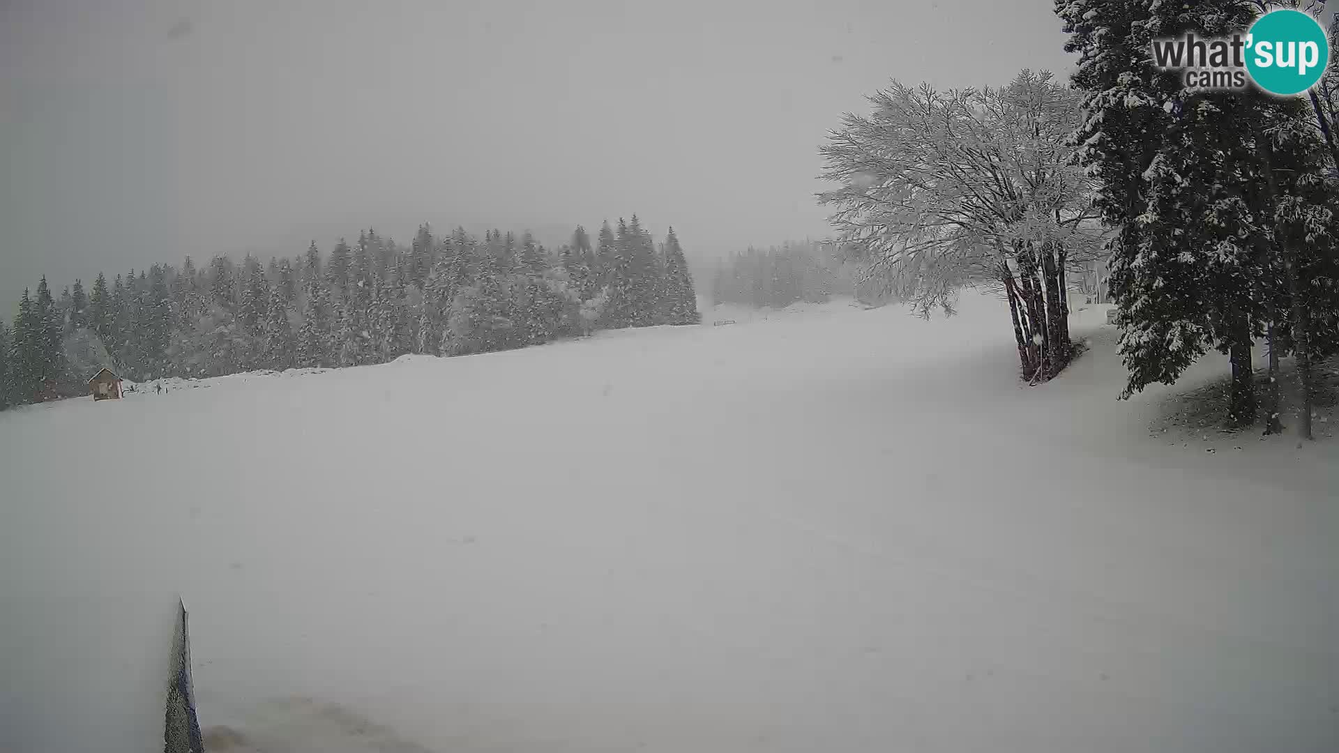 Webcam en direct station de ski de Sorica – Sorška planina – Slovénie