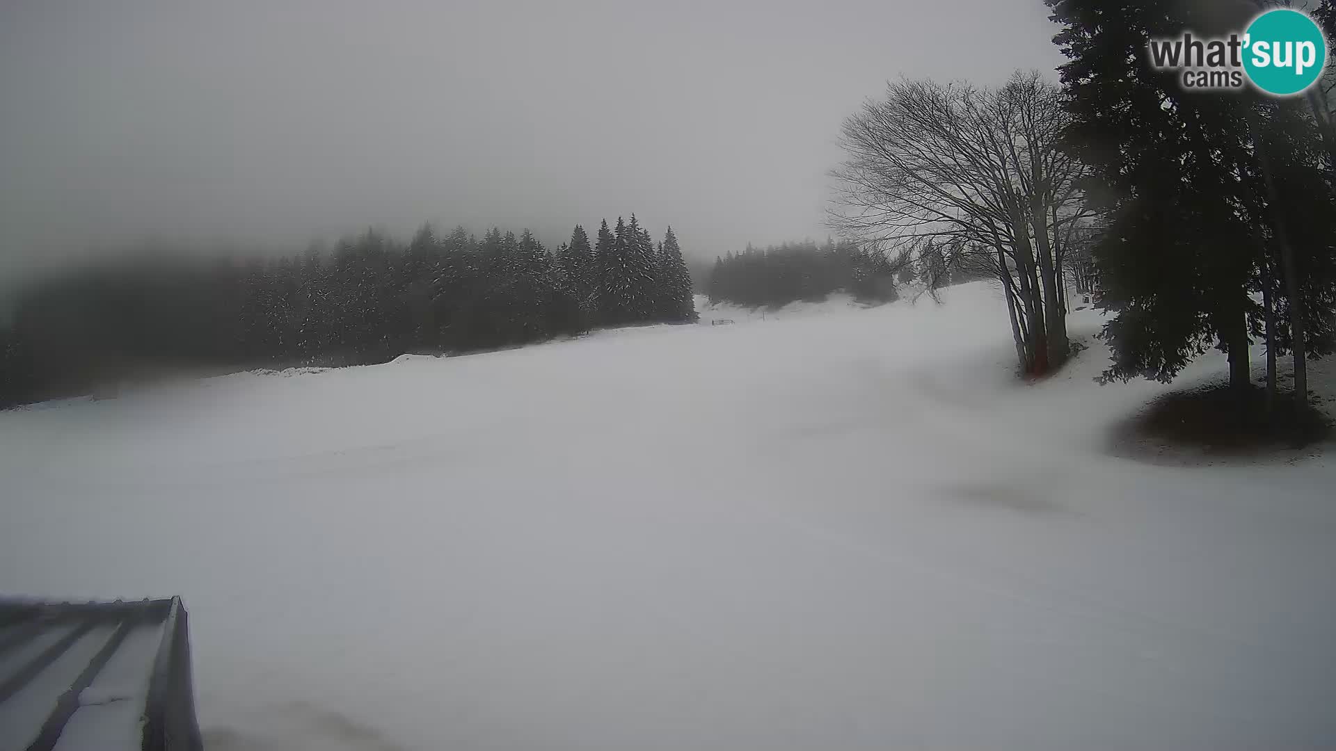 Smučišče Sorica spletna kamera – Sorška planina