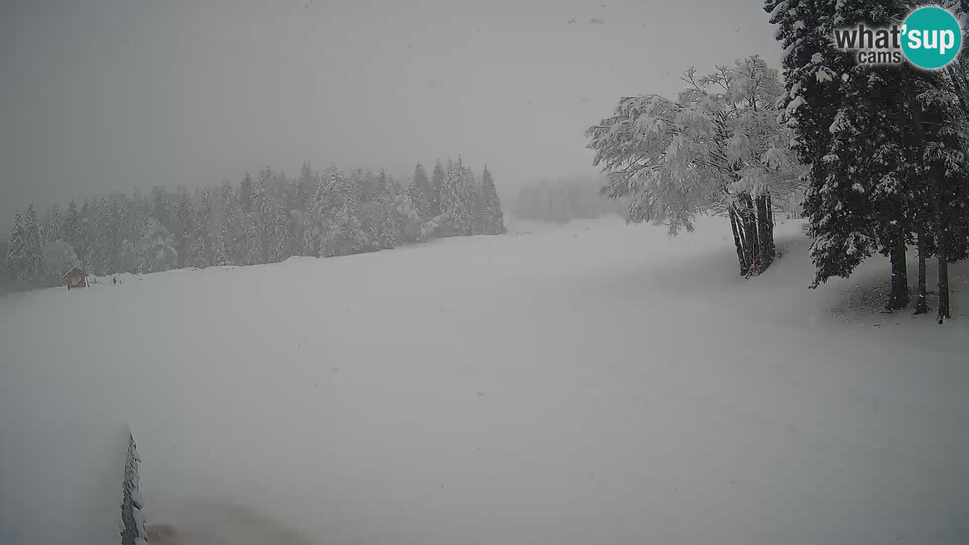 Live Webcam Stazione sciistica di Sorica – Sorška planina – Slovenia