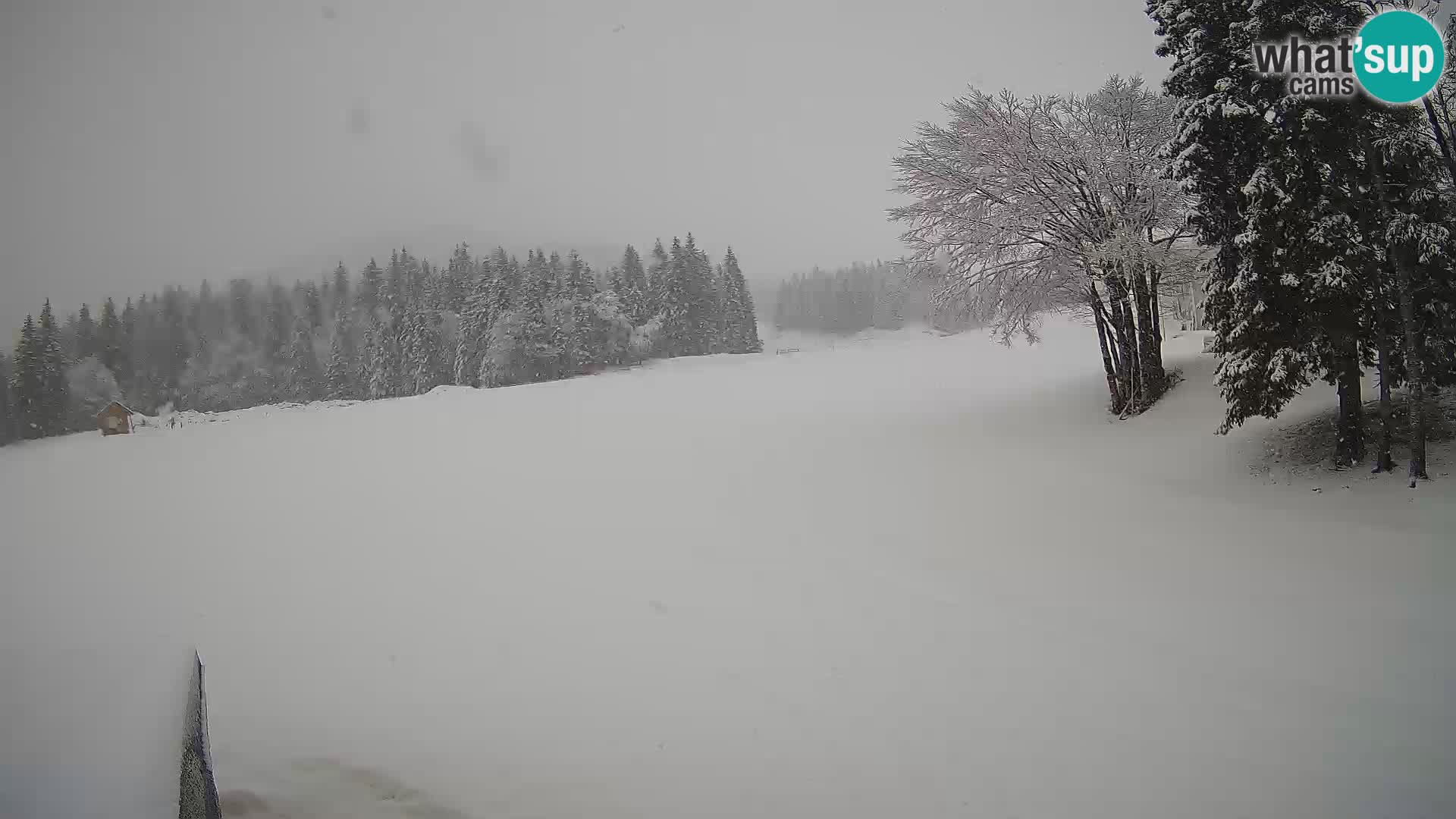 Live Webcam Stazione sciistica di Sorica – Sorška planina – Slovenia