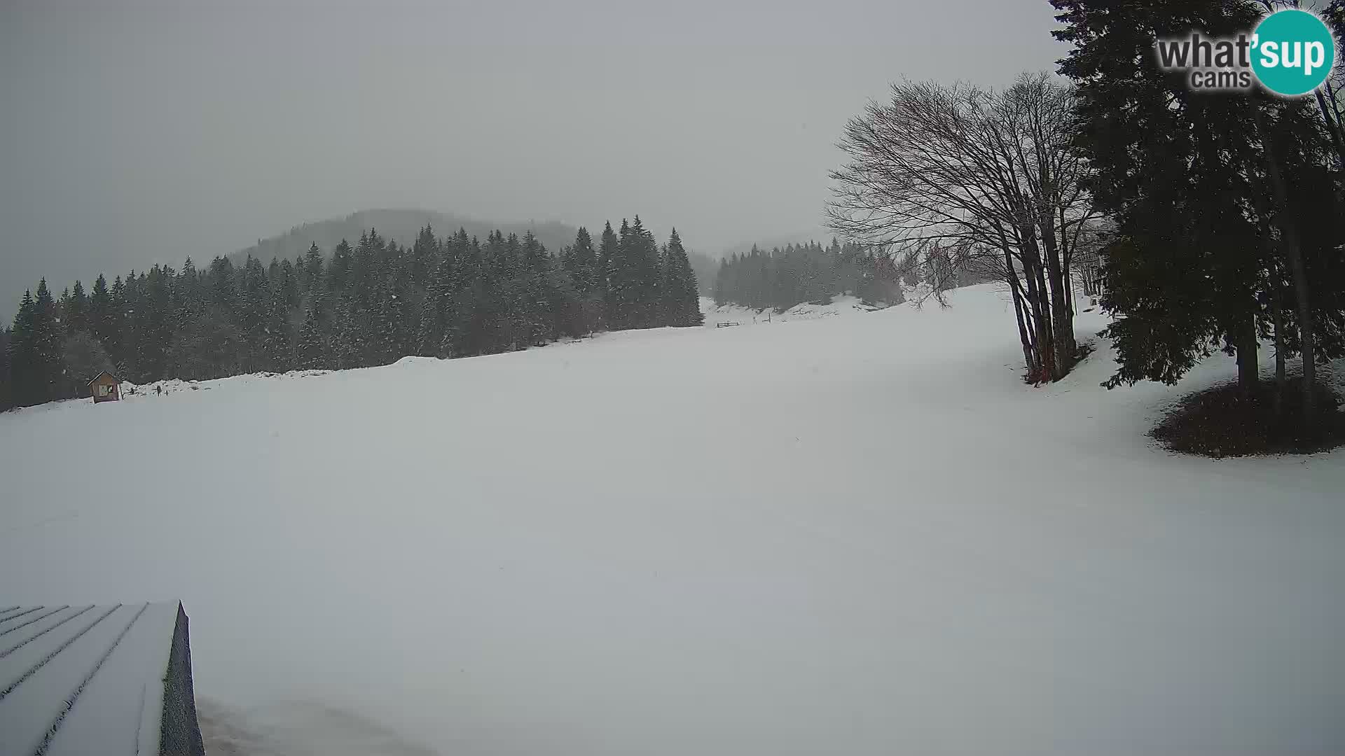 Live Webcam Sorica ski resort – Sorška planina – Slovenia