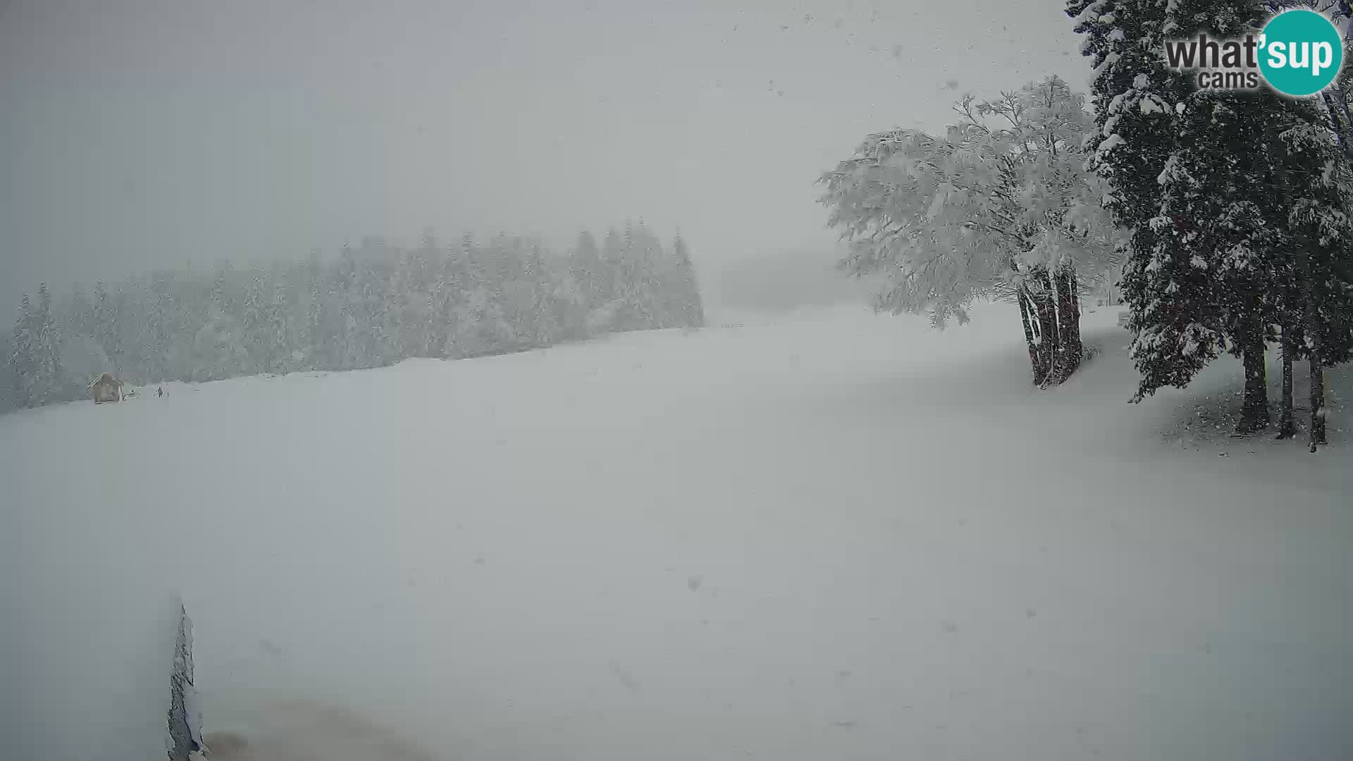 Webcam en direct station de ski de Sorica – Sorška planina – Slovénie