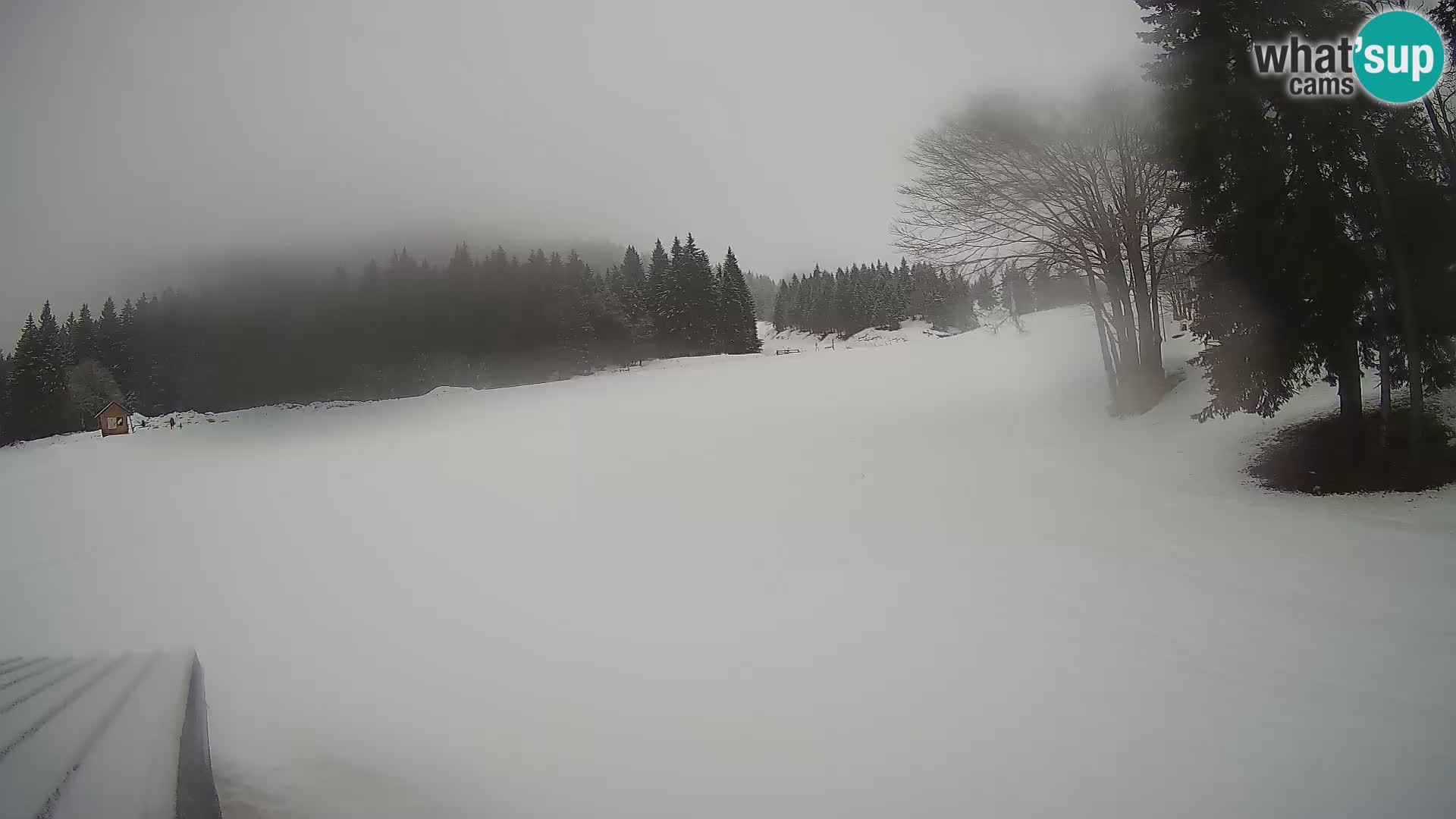 Smučišče Sorica spletna kamera – Sorška planina