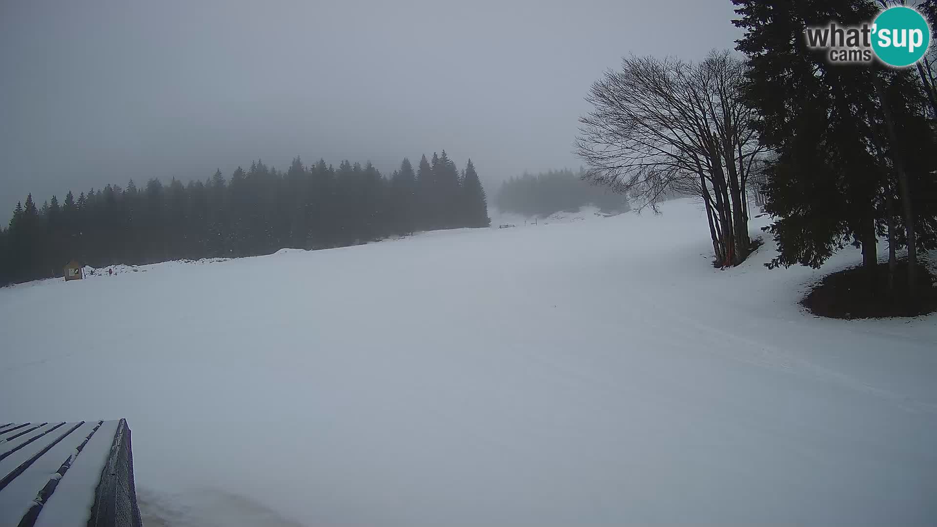 Smučišče Sorica spletna kamera – Sorška planina