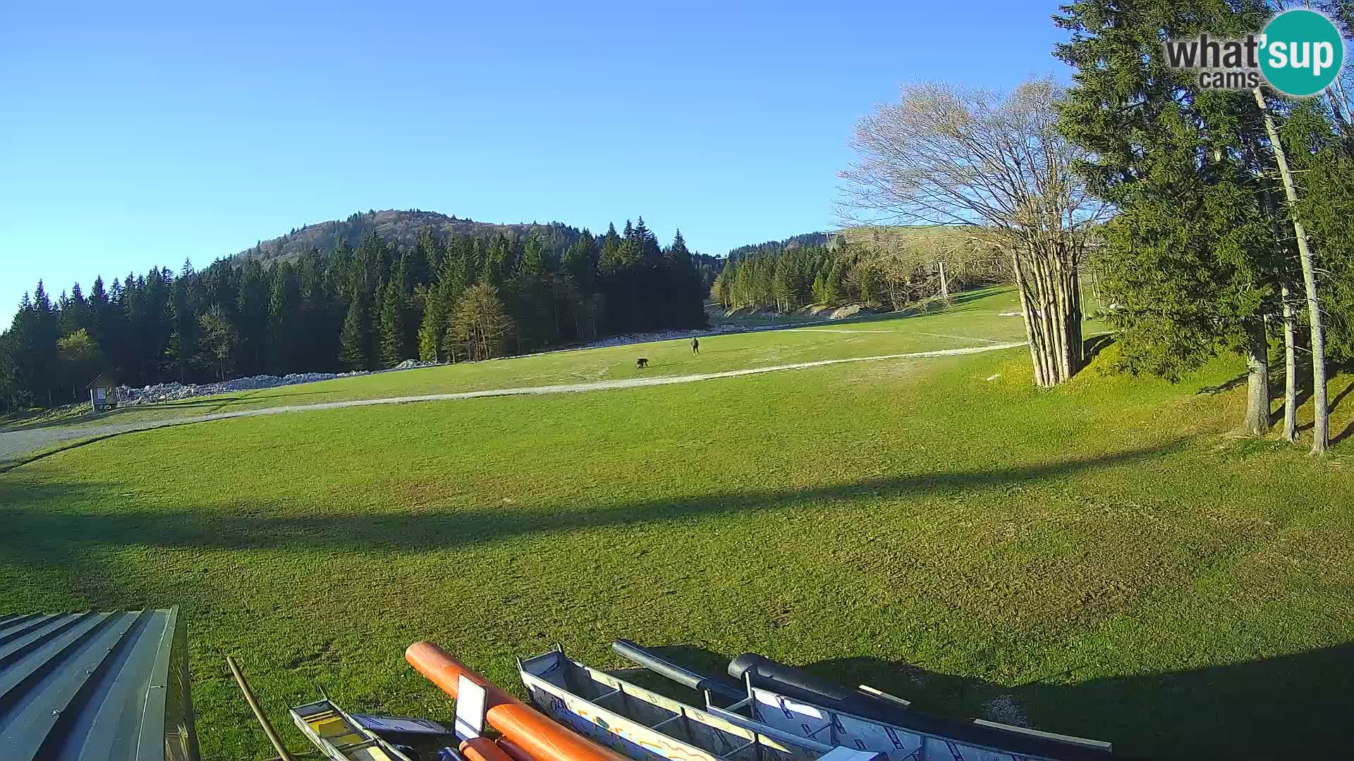 Soriška Planina – Slatnik – Sorica Webcam