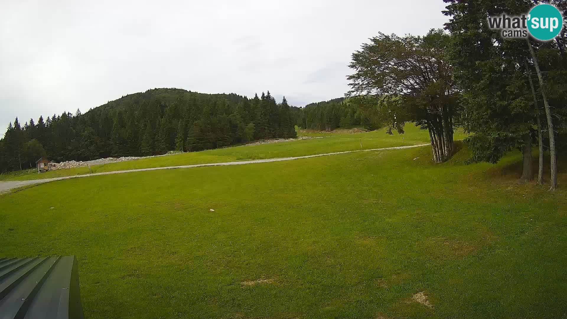 Soriška Planina – Slatnik – Sorica en vivo