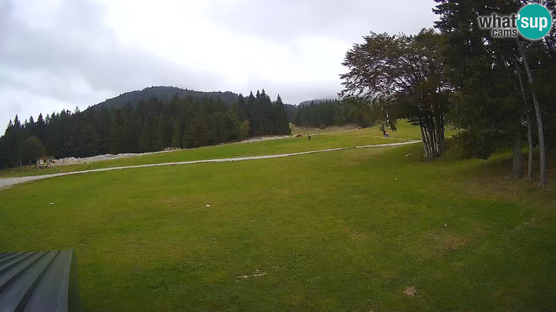 Live Webcam Sorica ski resort – Sorška planina – Slovenia