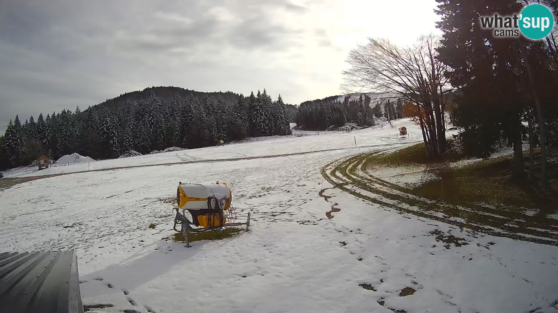 Smučišče Sorica spletna kamera – Sorška planina