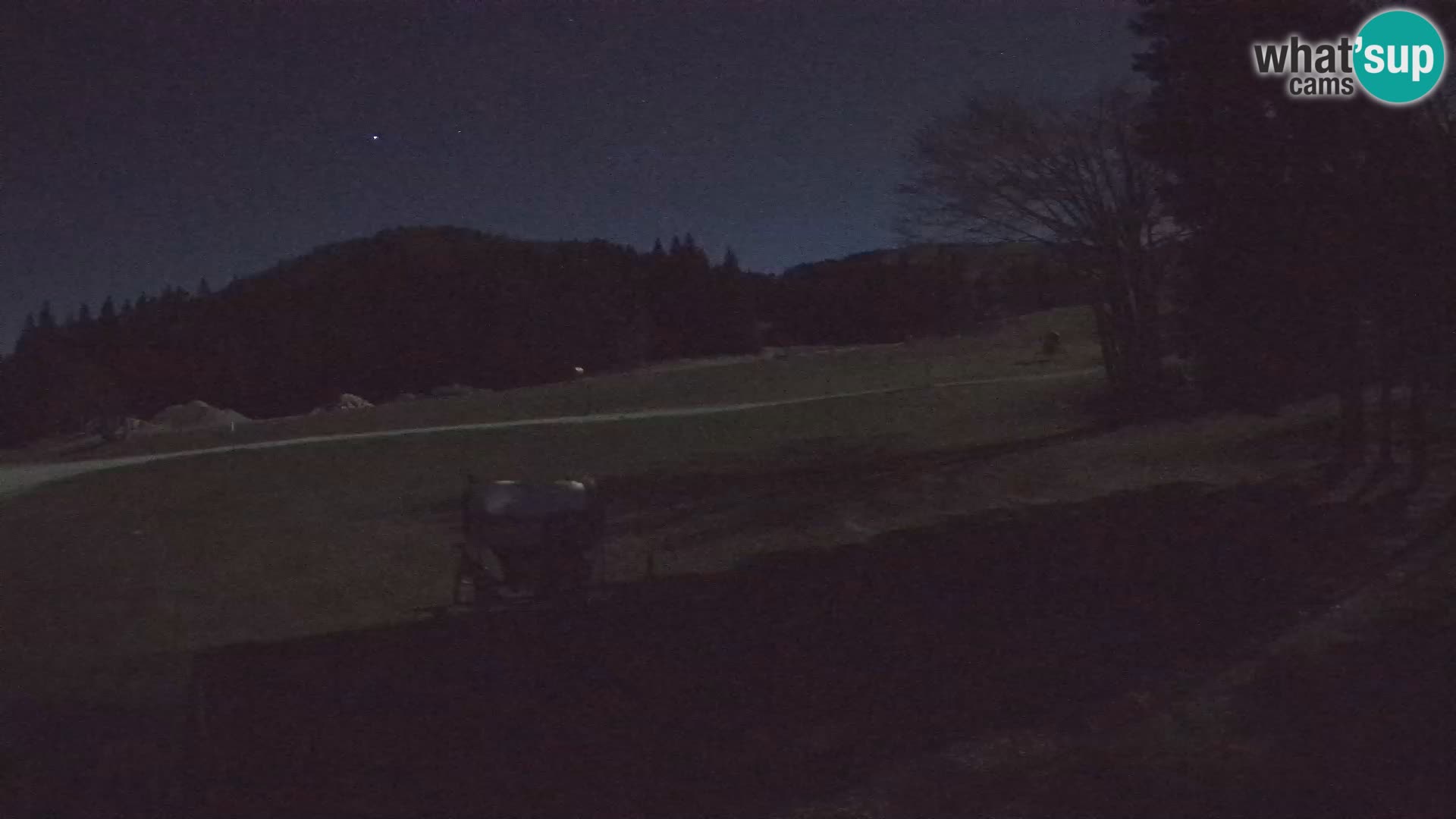 Webcam en vivo Estación de esquí de Sorica – Sorška planina – Eslovenia