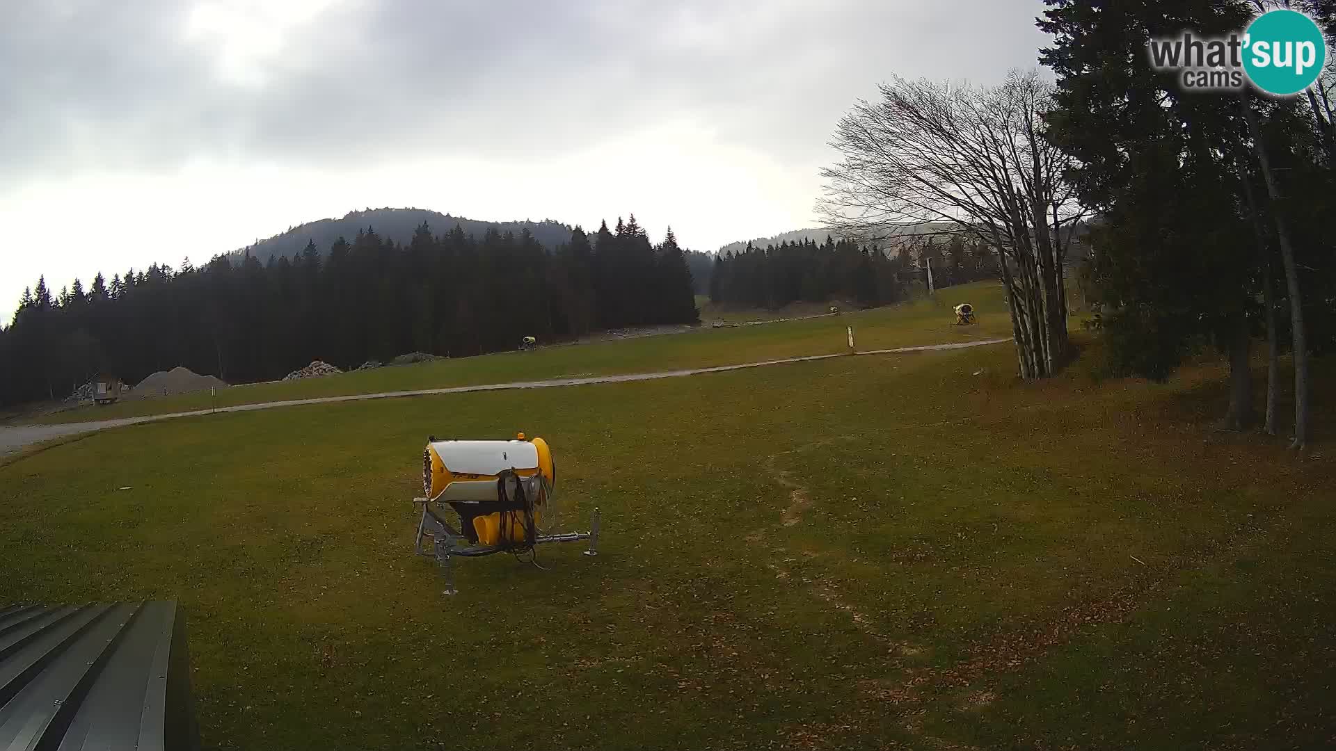 Webcam en vivo Estación de esquí de Sorica – Sorška planina – Eslovenia