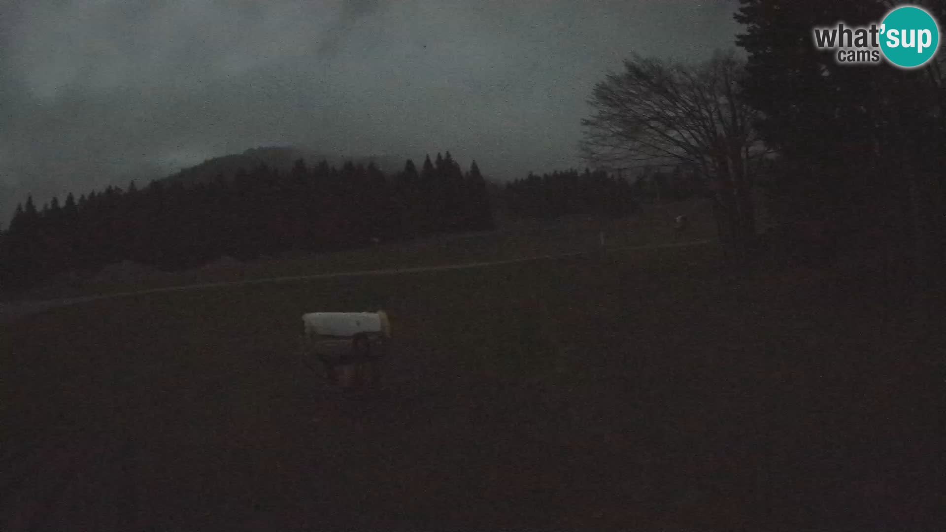 Webcam en vivo Estación de esquí de Sorica – Sorška planina – Eslovenia