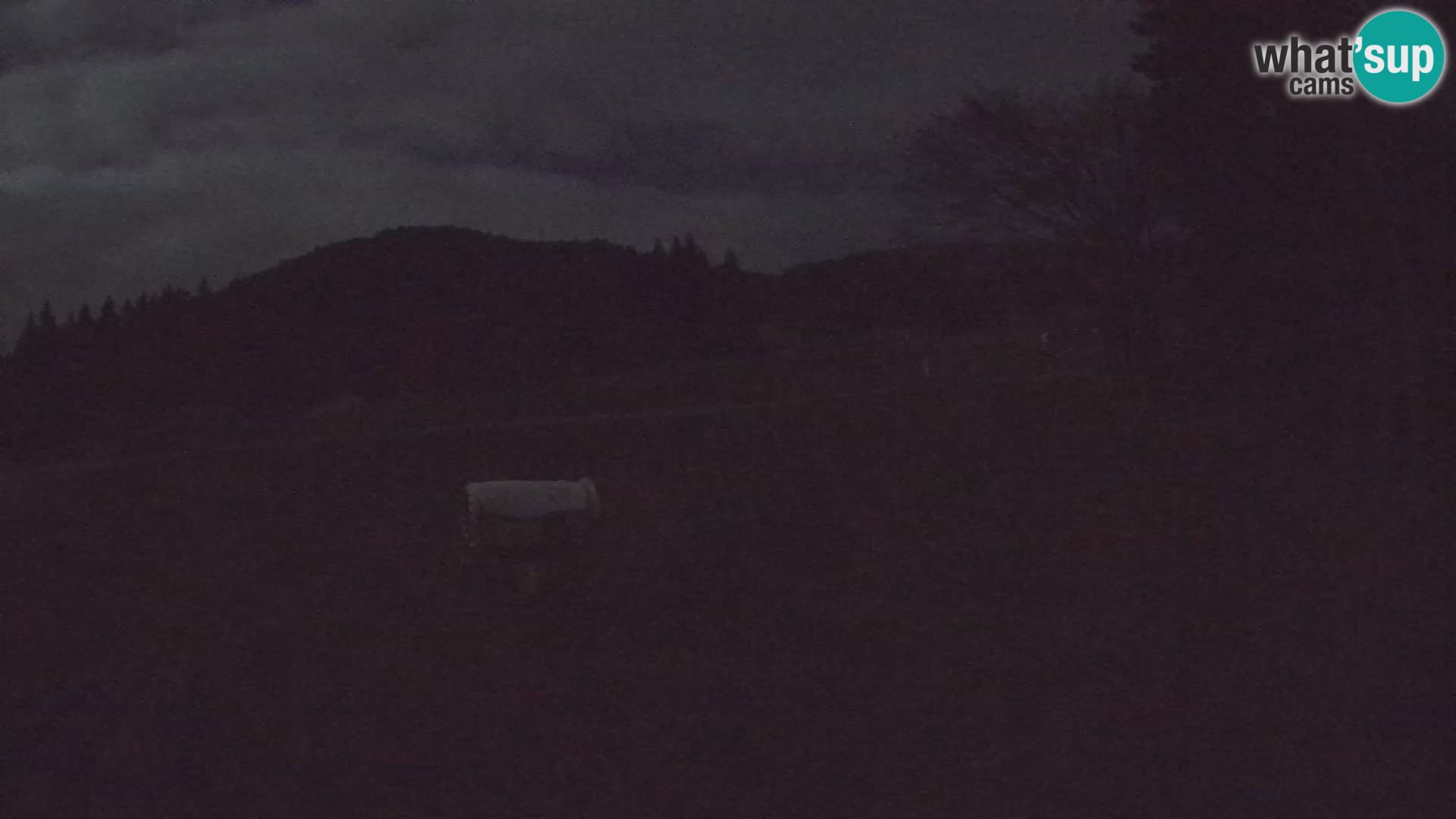 Webcam en vivo Estación de esquí de Sorica – Sorška planina – Eslovenia