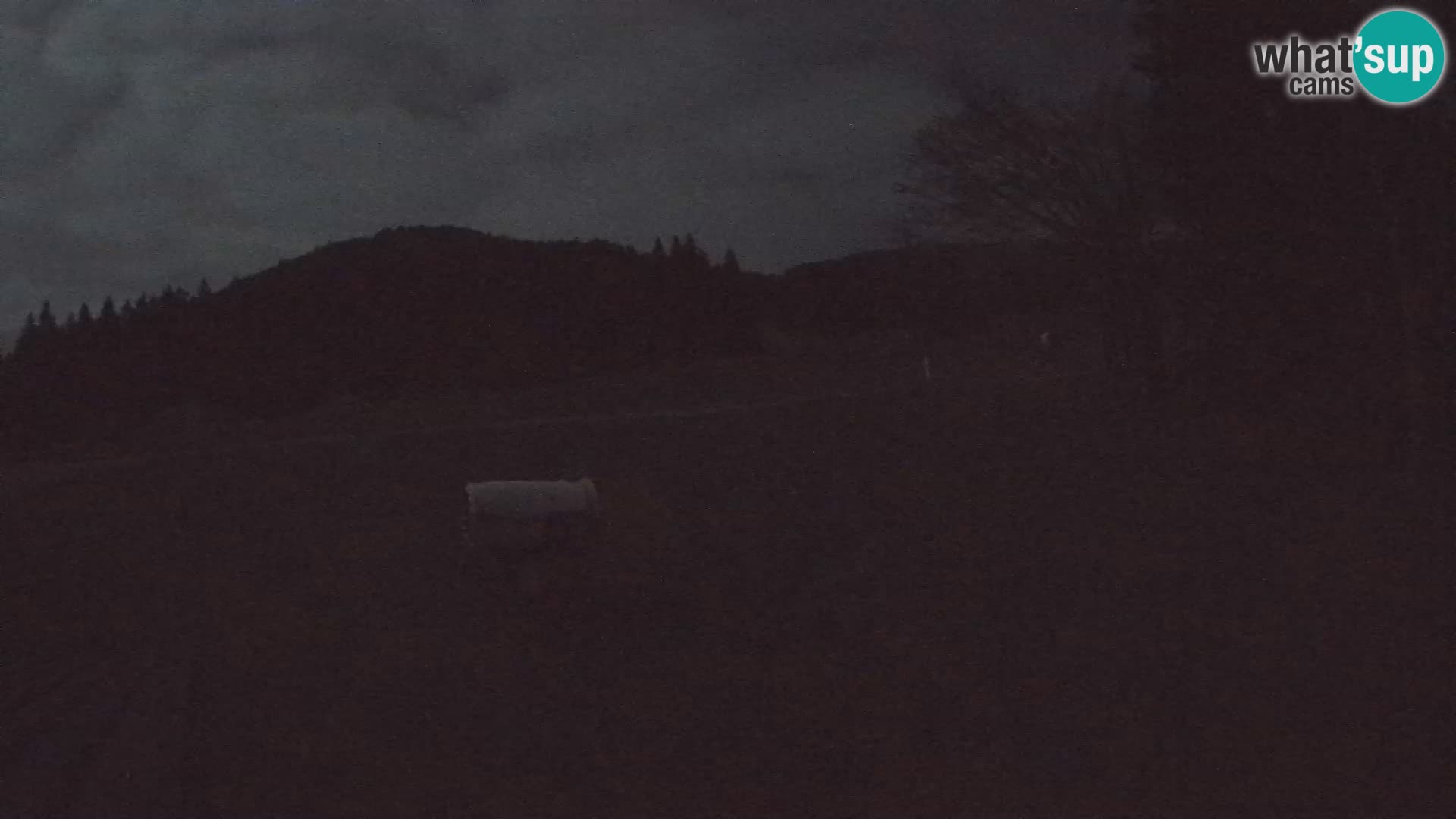 Webcam en direct station de ski de Sorica – Sorška planina – Slovénie