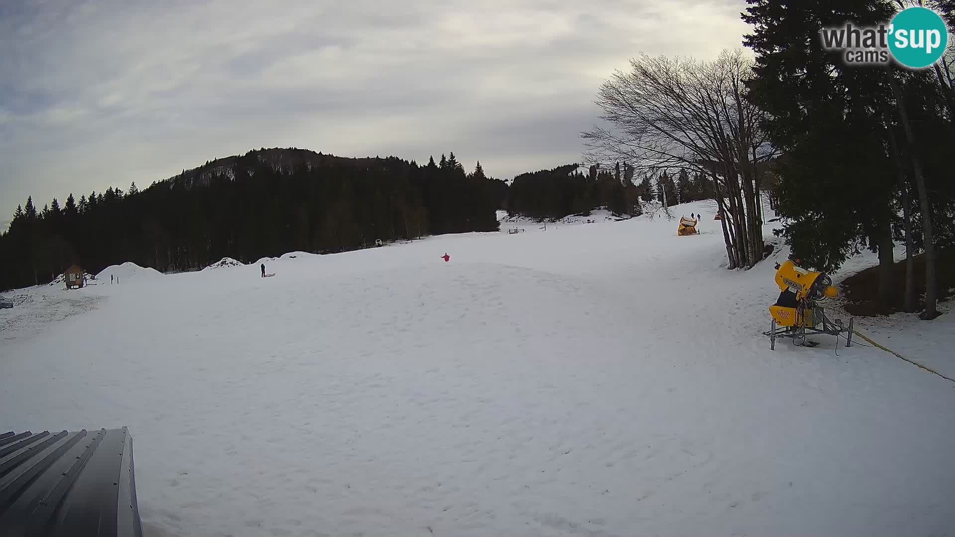 Live Webcam Sorica ski resort – Sorška planina – Slovenia