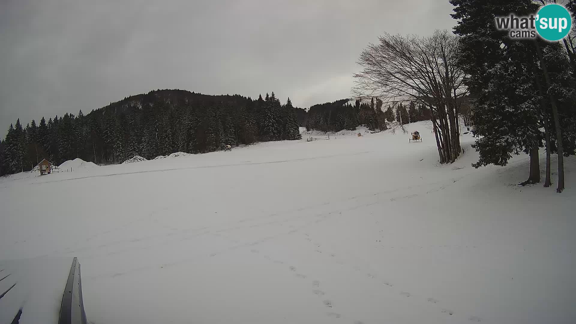 Webcam en direct station de ski de Sorica – Sorška planina – Slovénie