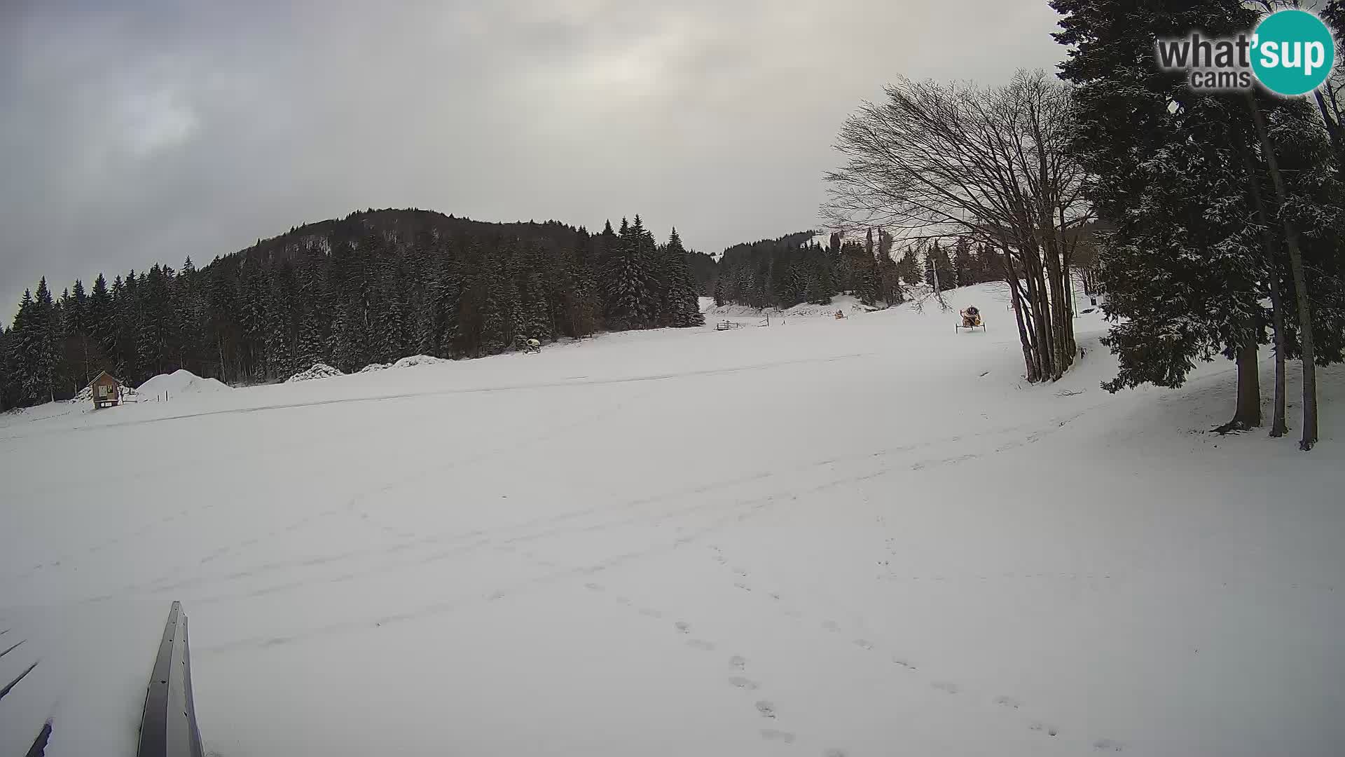 Webcam en vivo Estación de esquí de Sorica – Sorška planina – Eslovenia