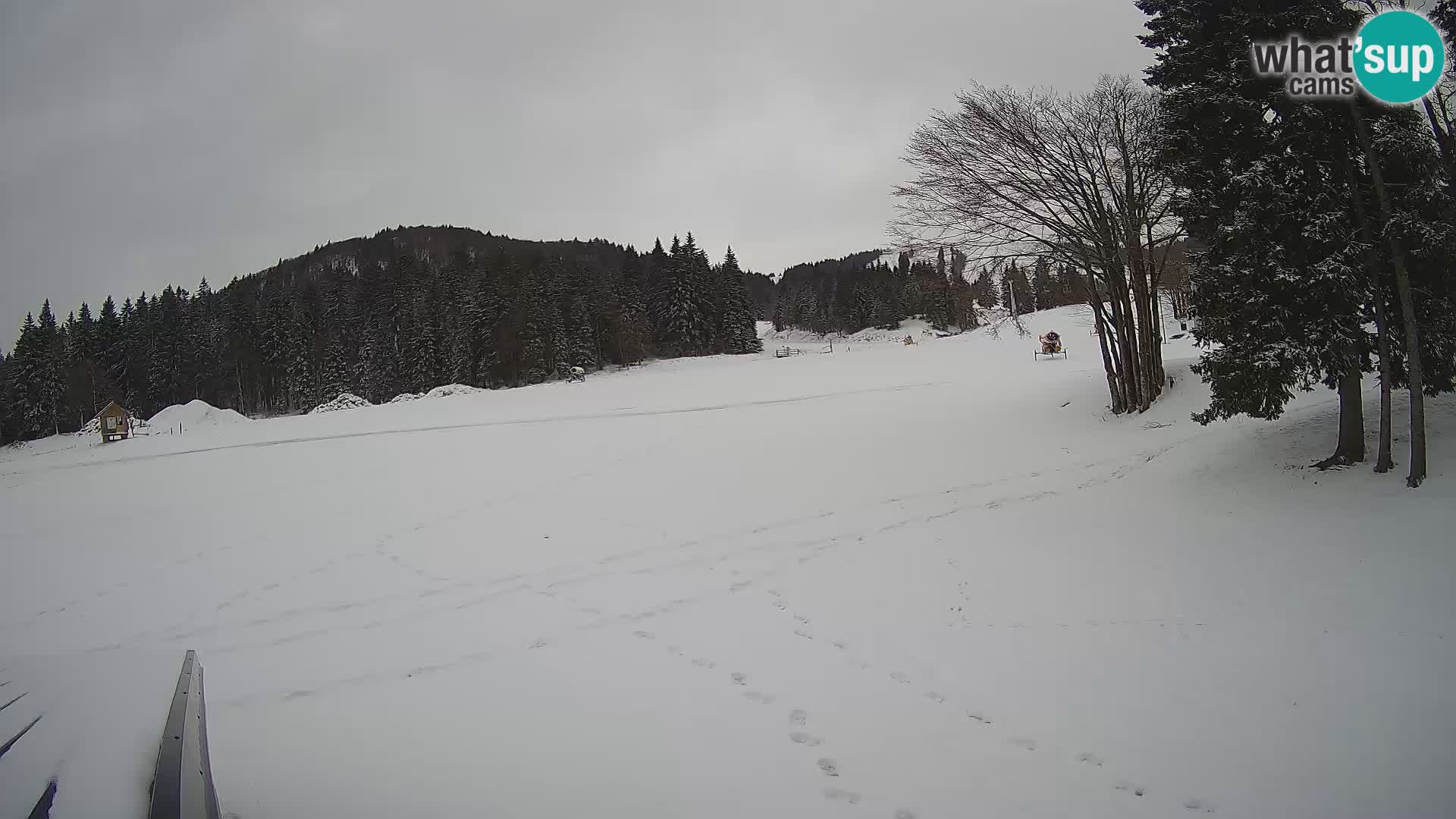 Live Webcam Sorica ski resort – Sorška planina – Slovenia