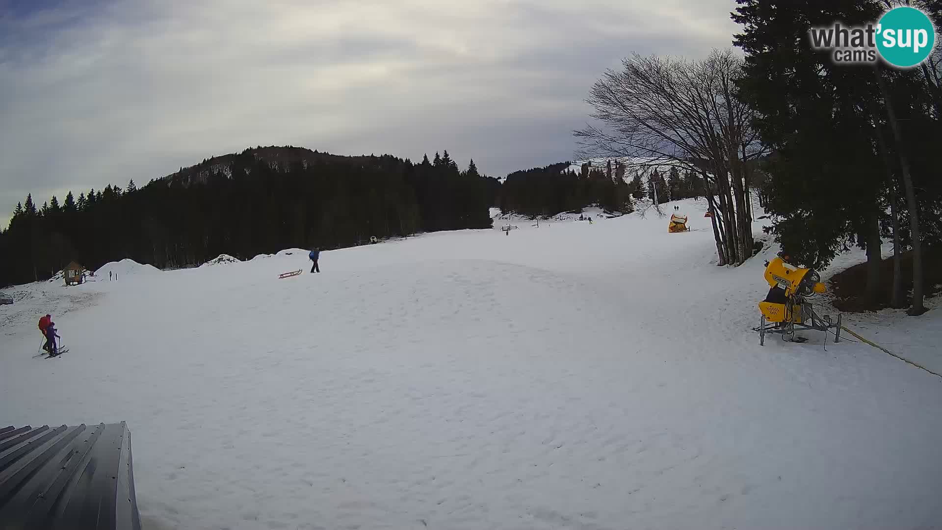 Live Webcam Skigebiet Sorica – Sorška planina – Slowenien