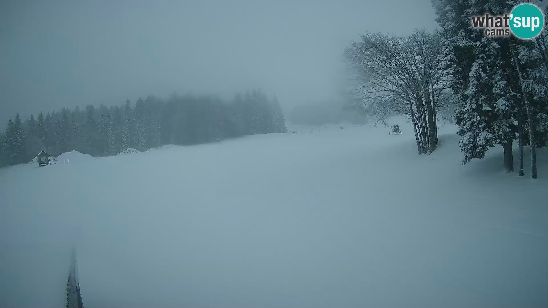 Live Webcam Sorica ski resort – Sorška planina – Slovenia