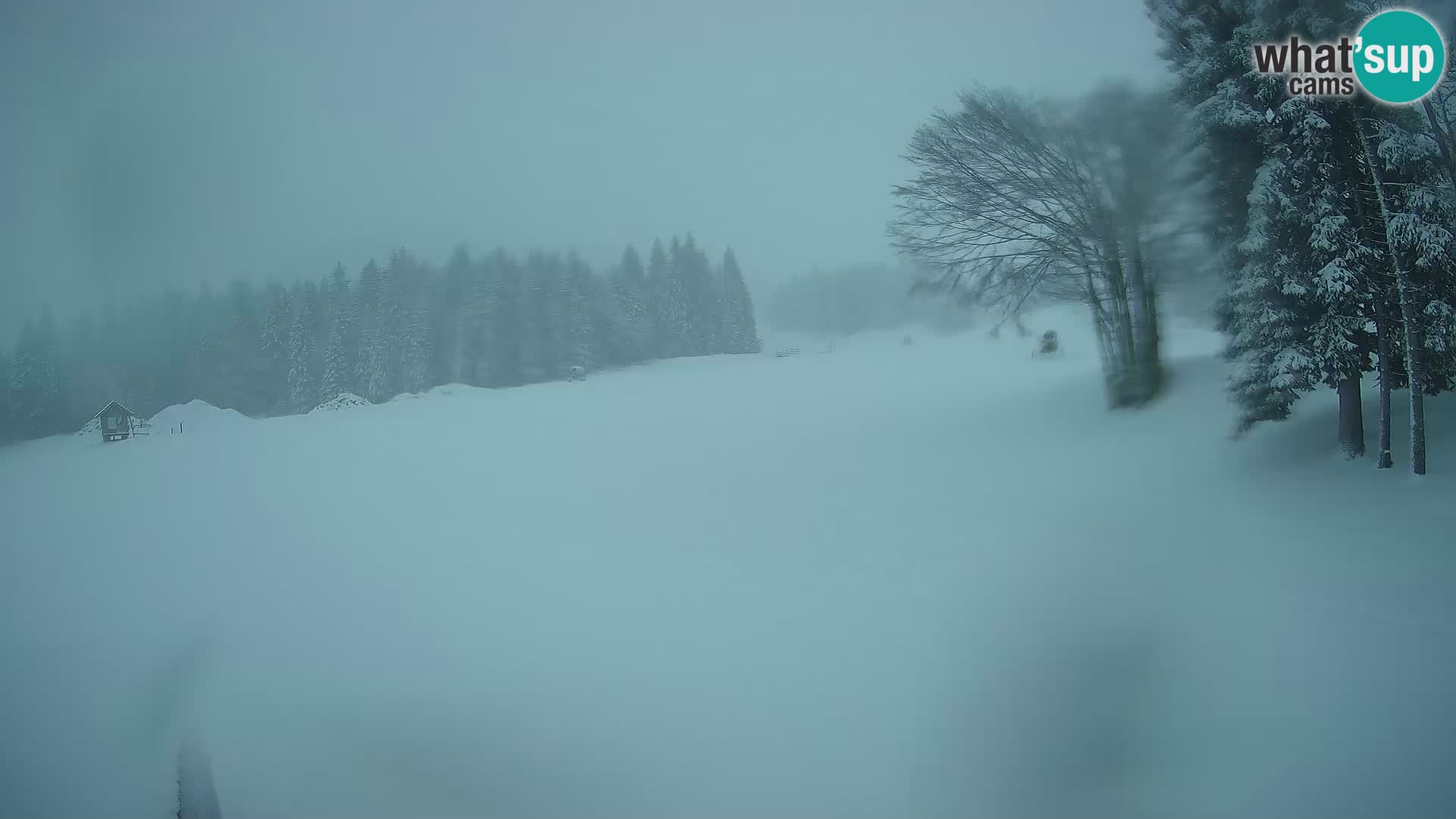 Webcam en vivo Estación de esquí de Sorica – Sorška planina – Eslovenia