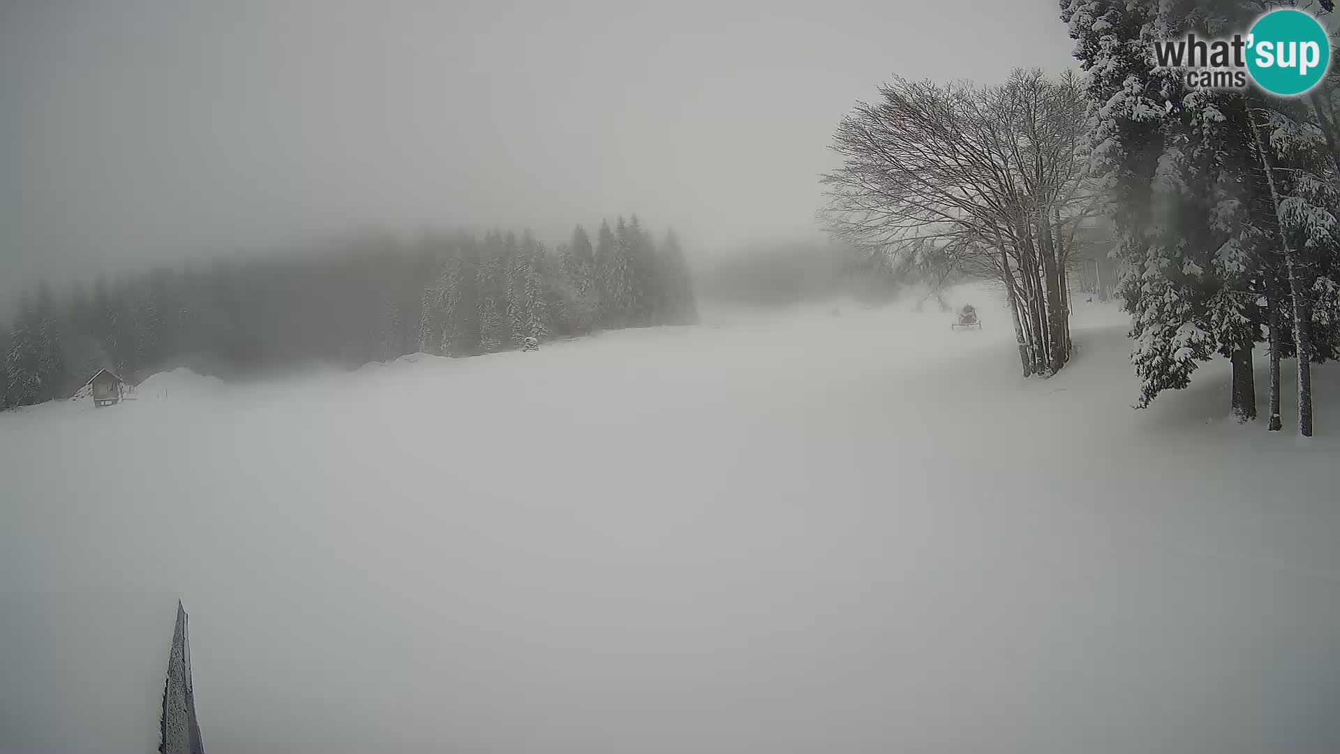 Smučišče Sorica spletna kamera – Sorška planina