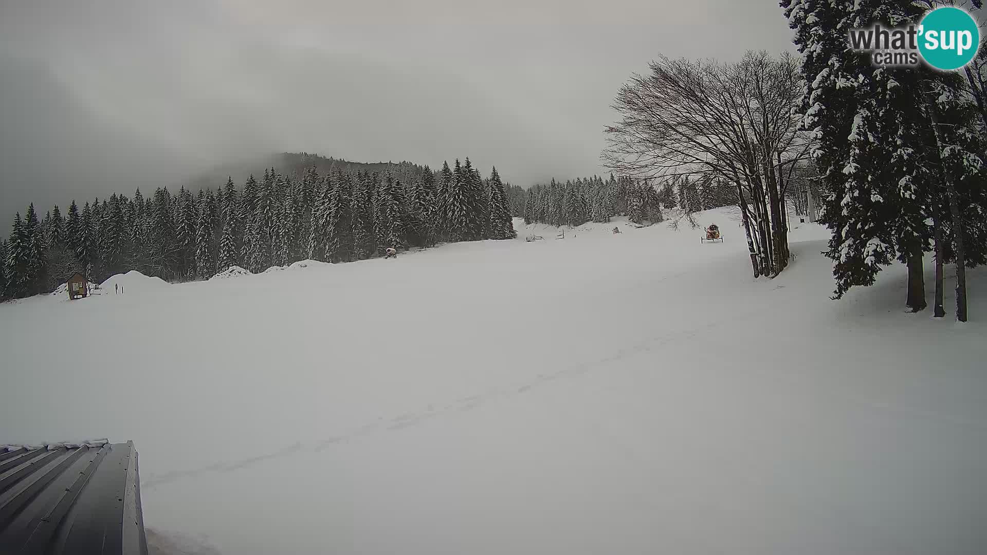 Smučišče Sorica spletna kamera – Sorška planina
