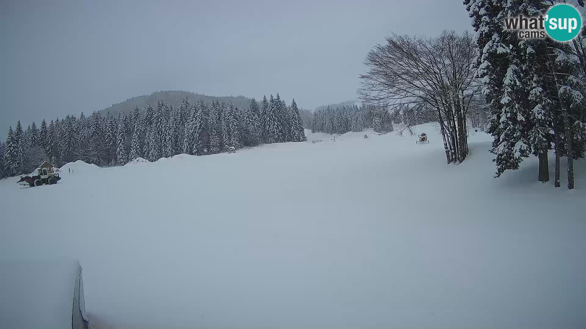 Webcam en vivo Estación de esquí de Sorica – Sorška planina – Eslovenia
