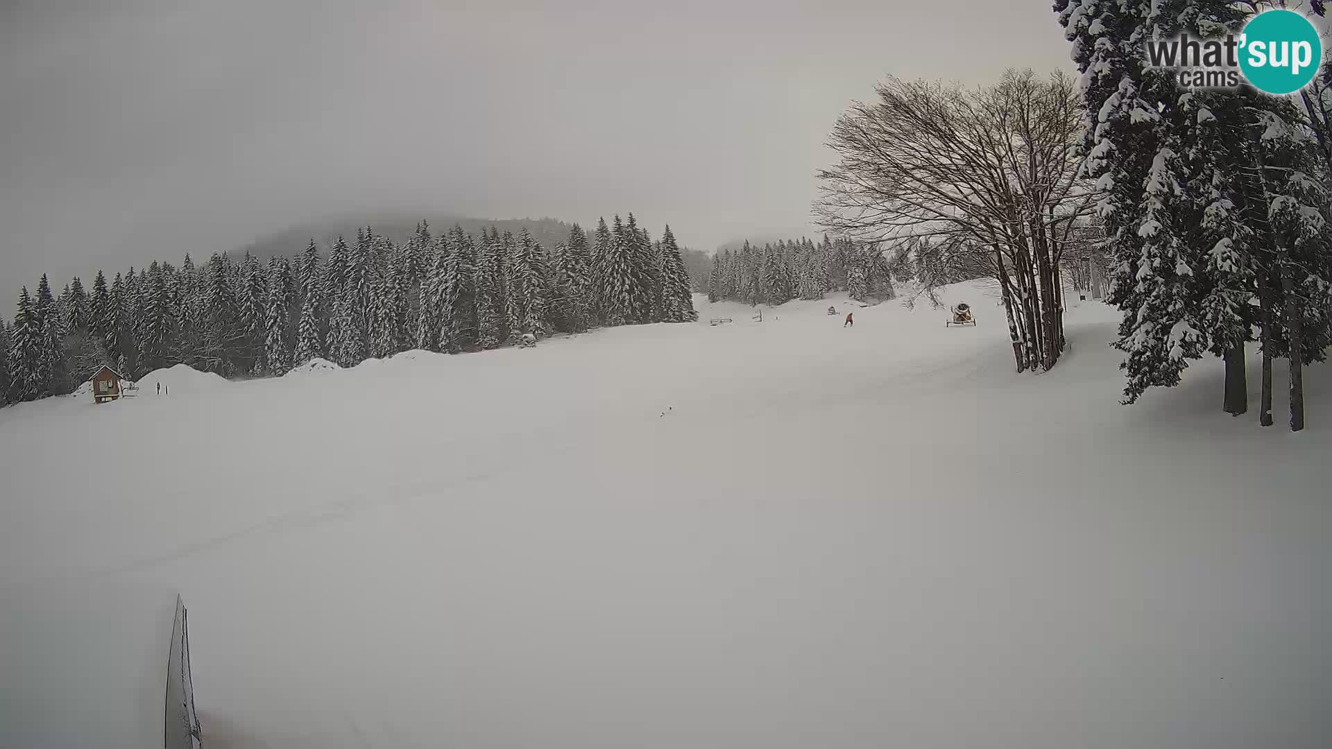 Live Webcam Skigebiet Sorica – Sorška planina – Slowenien