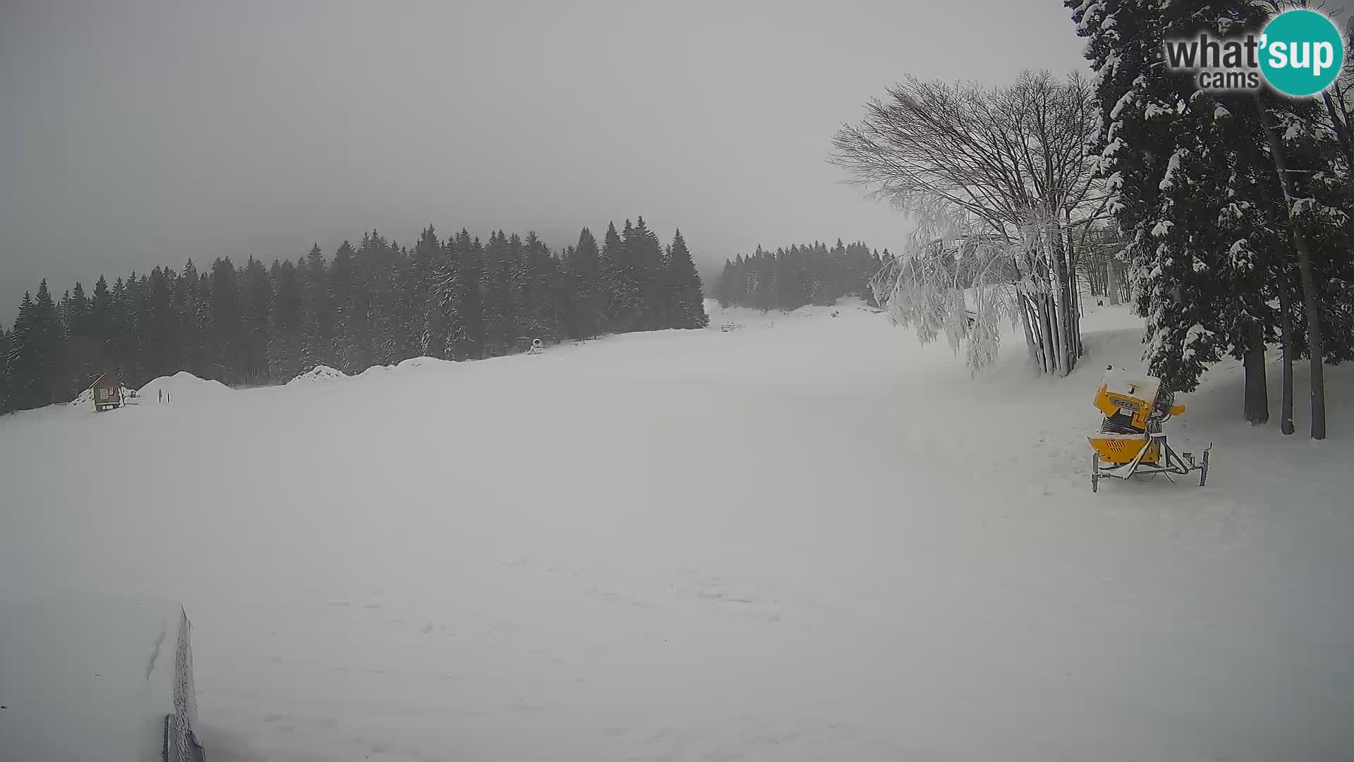 Smučišče Sorica spletna kamera – Sorška planina